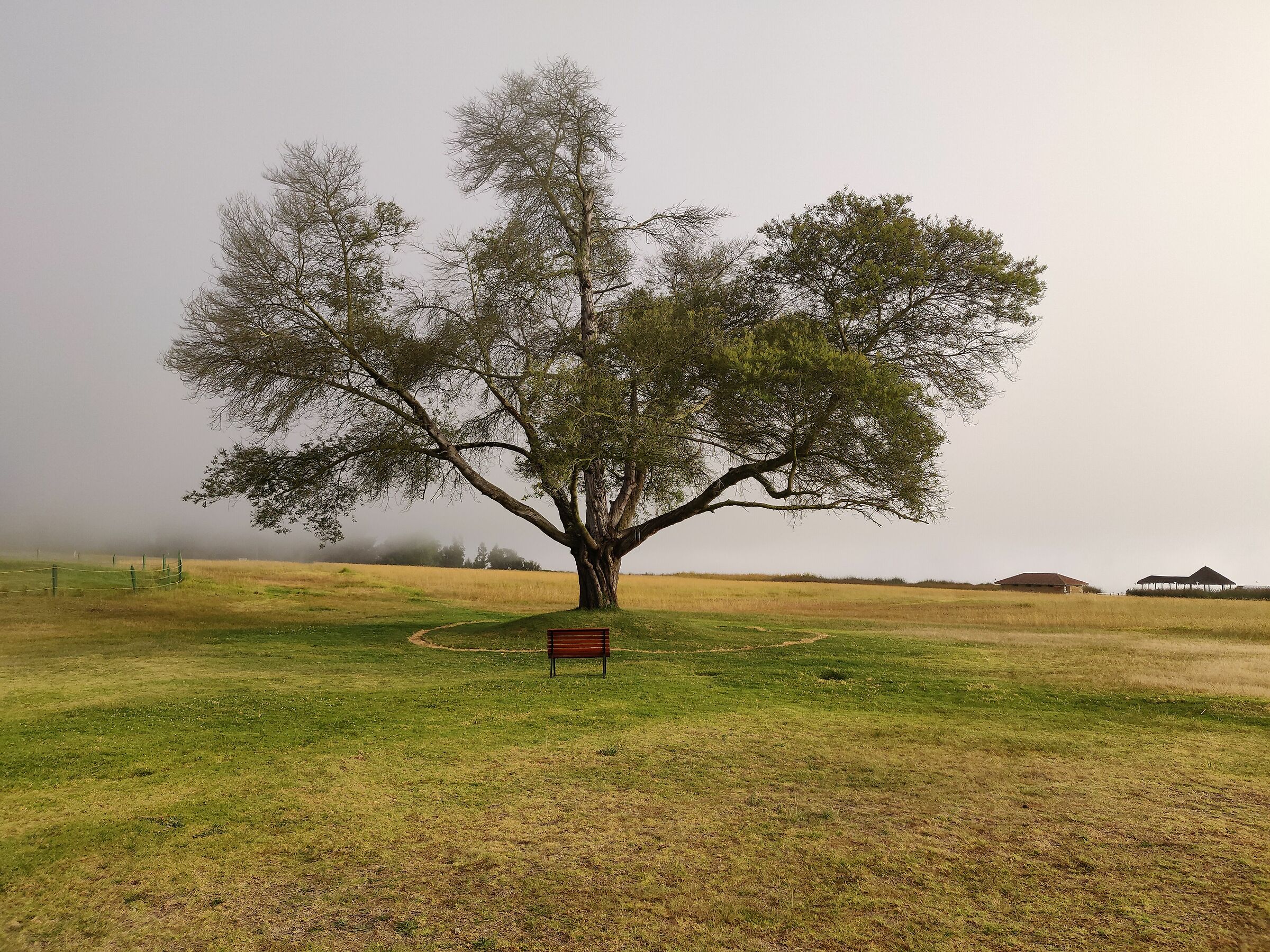 Paipa - in the hotel park