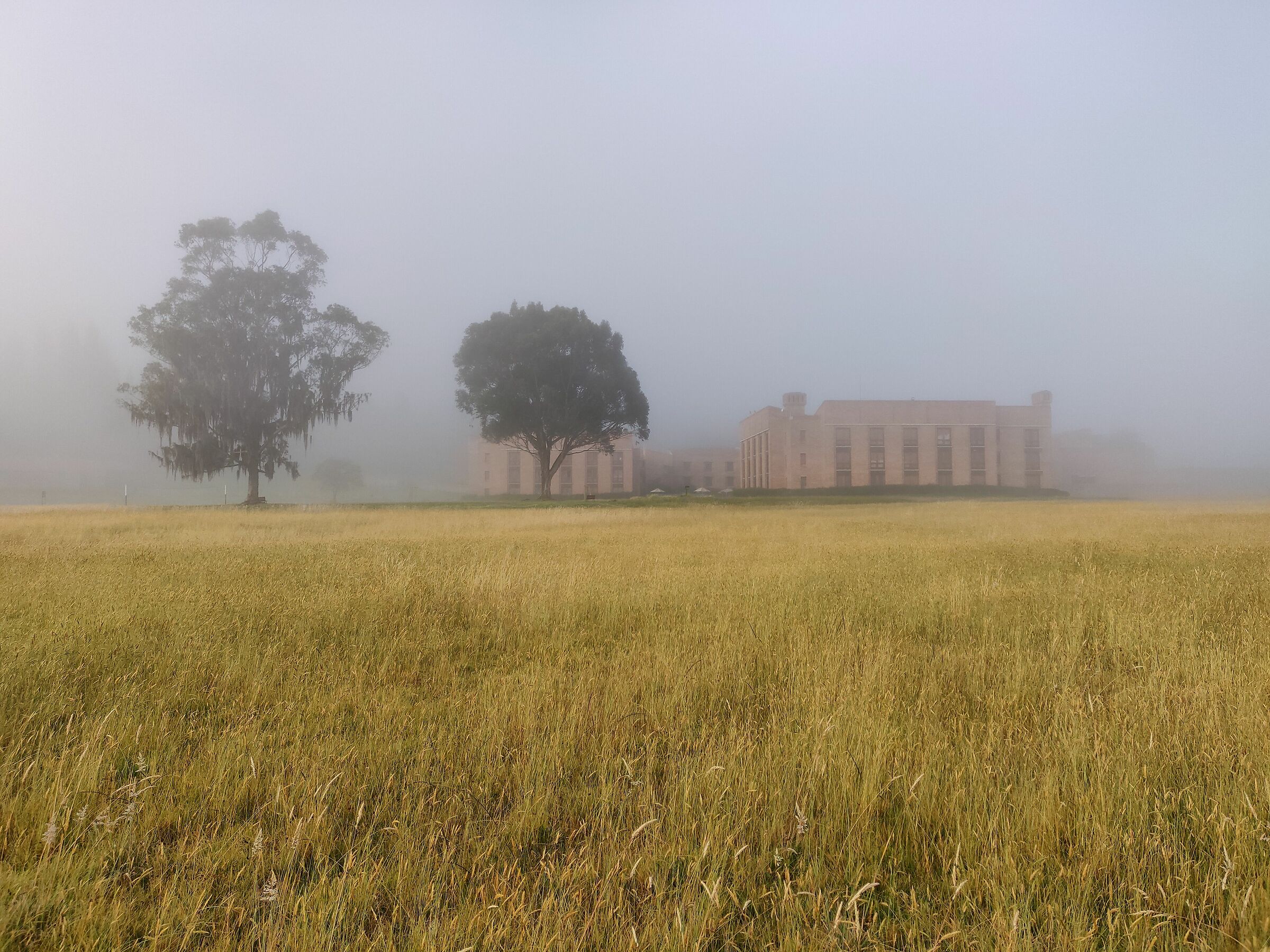 Paipa - in the hotel park