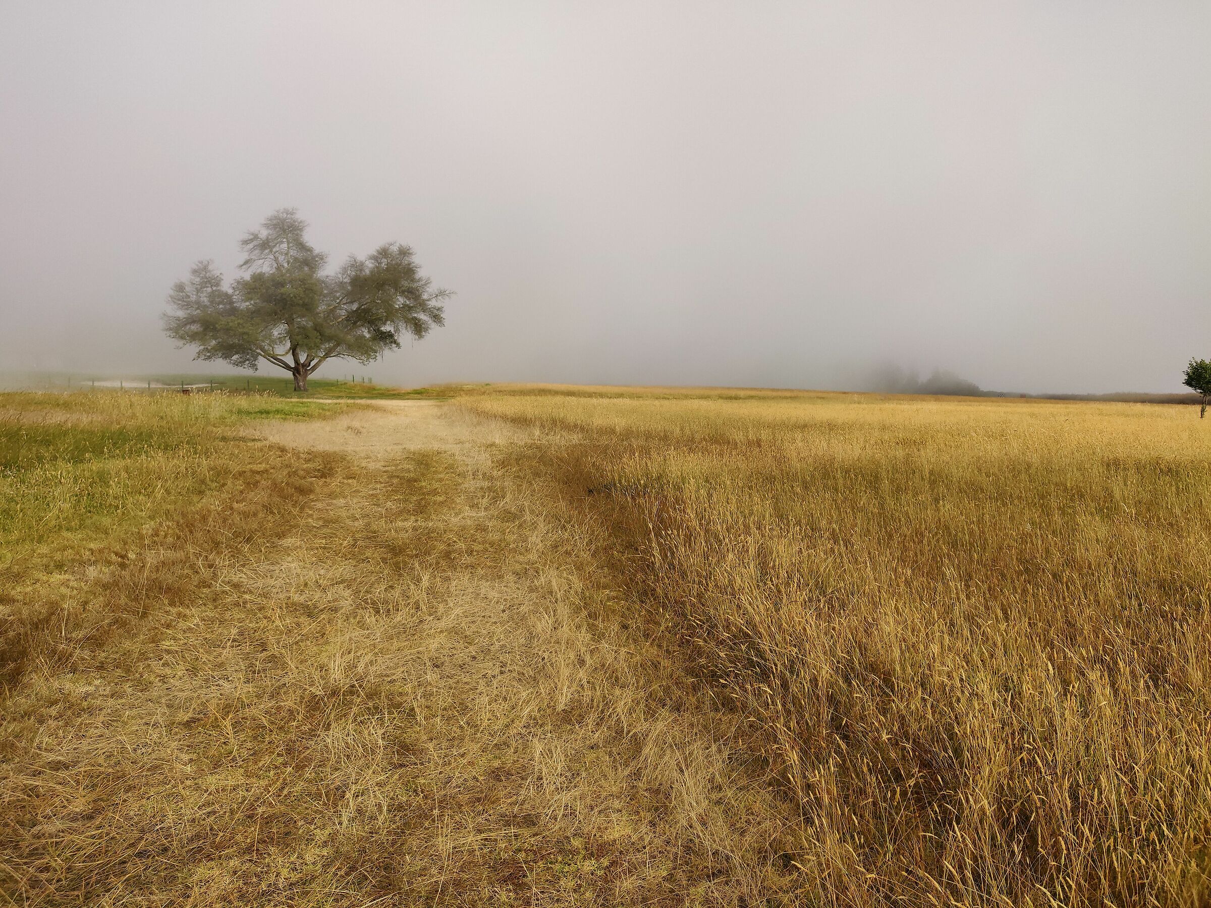 Paipa - in the hotel park