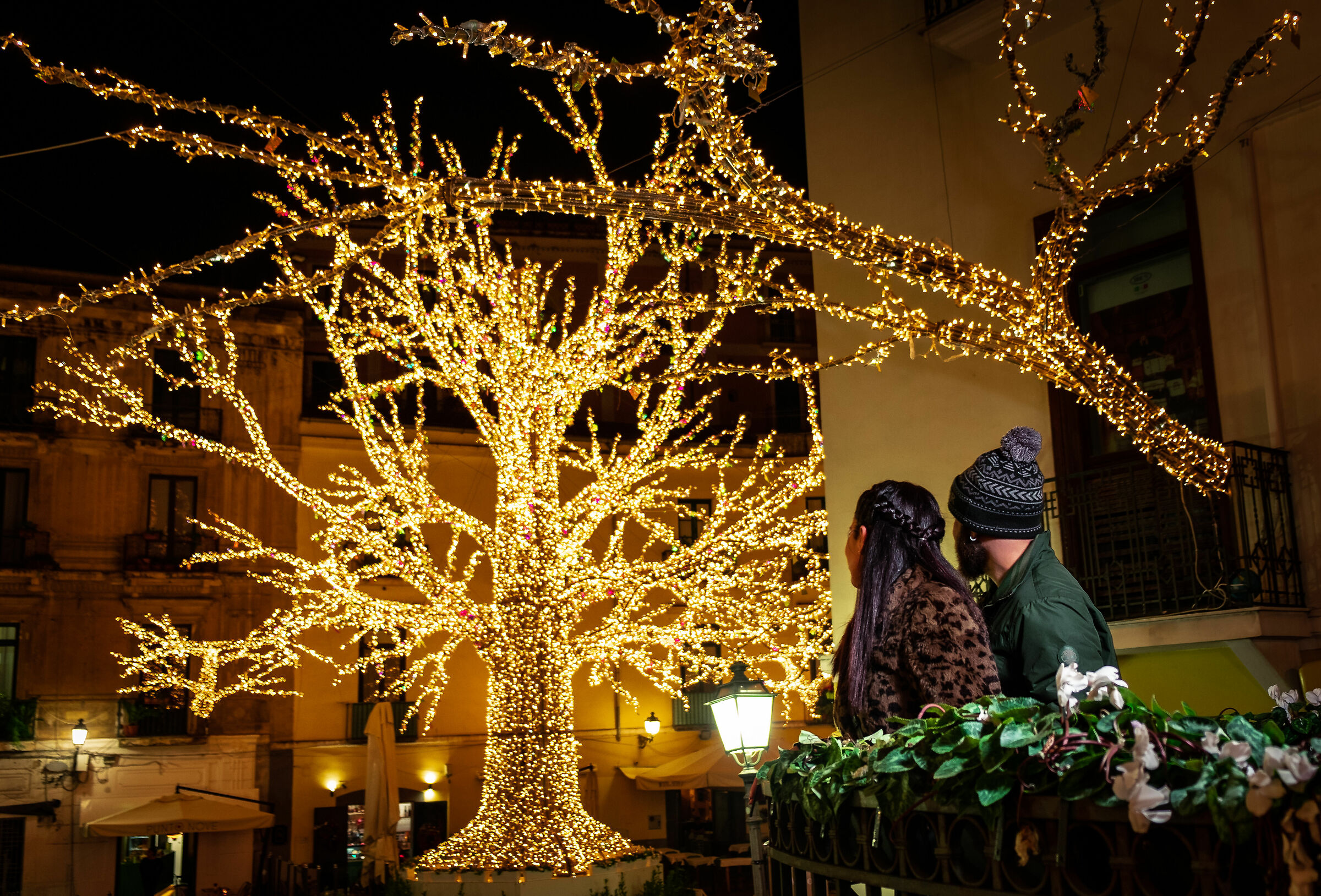 Sposi e albero della vita