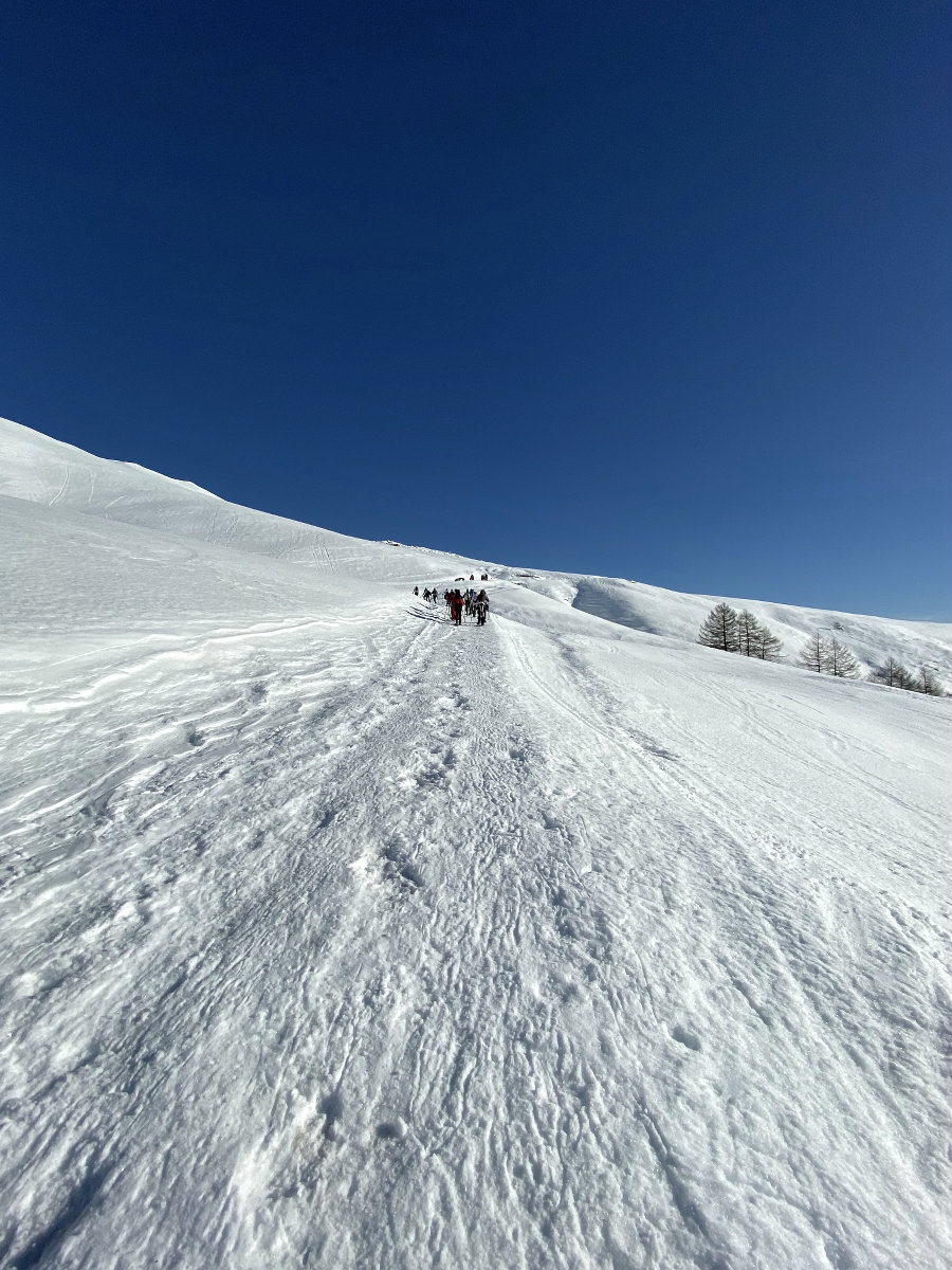 Fra il bianco e l'azzurro