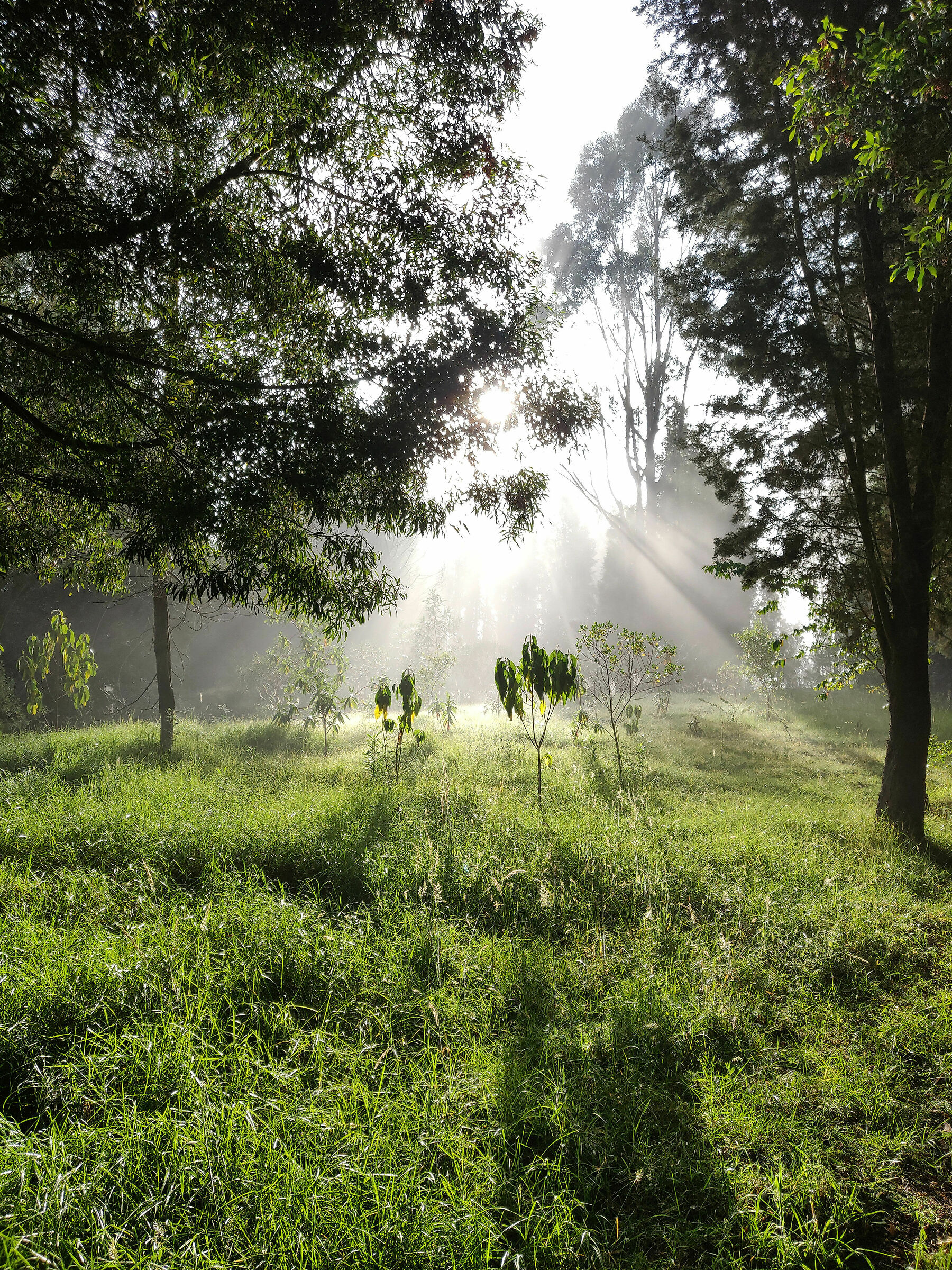 Paipa - in the hotel park