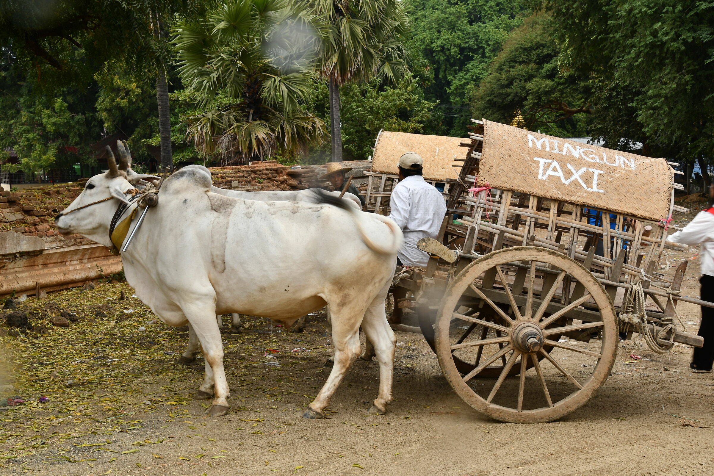 Alternative taxi in Mingun