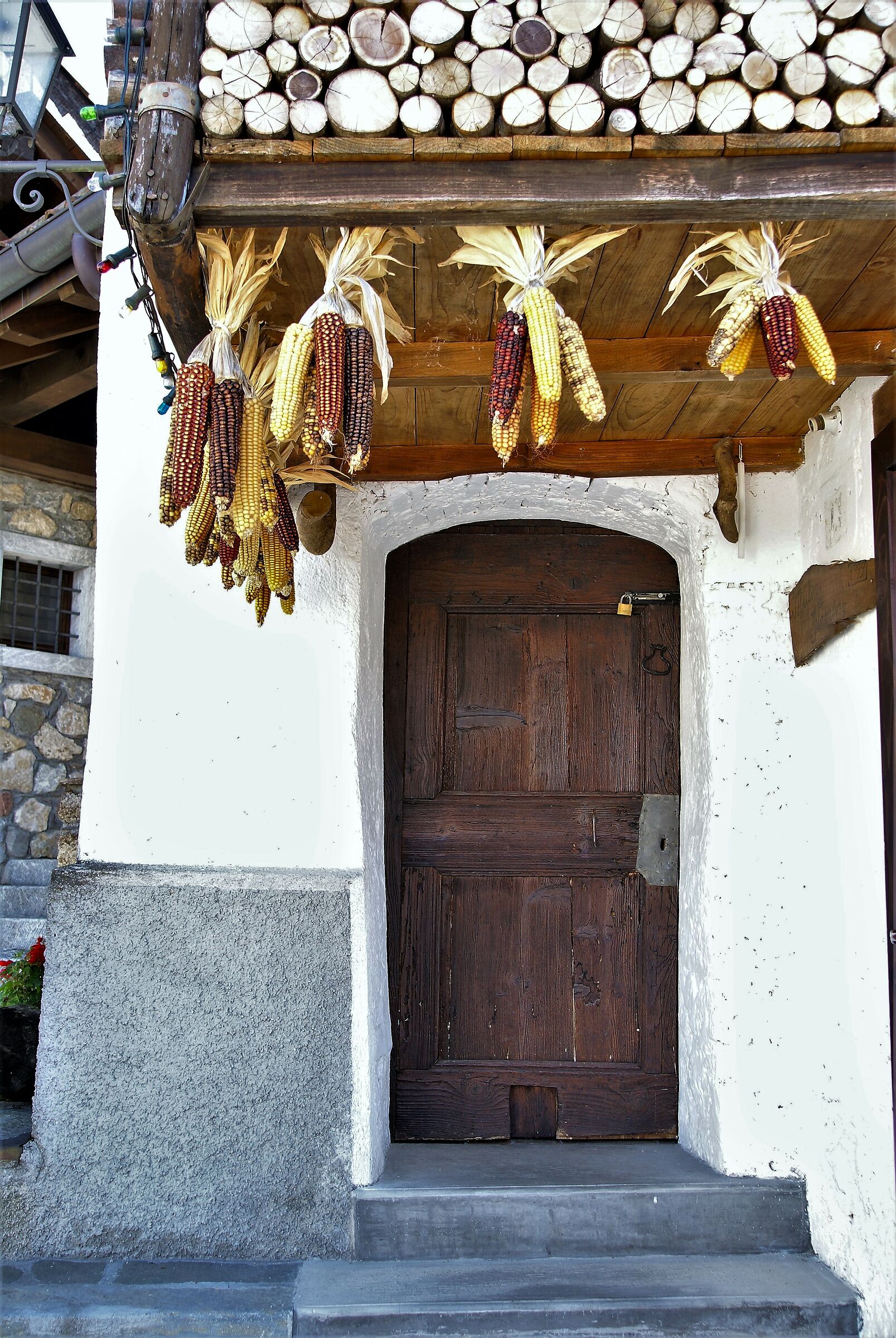 Illegio - porta del gatto