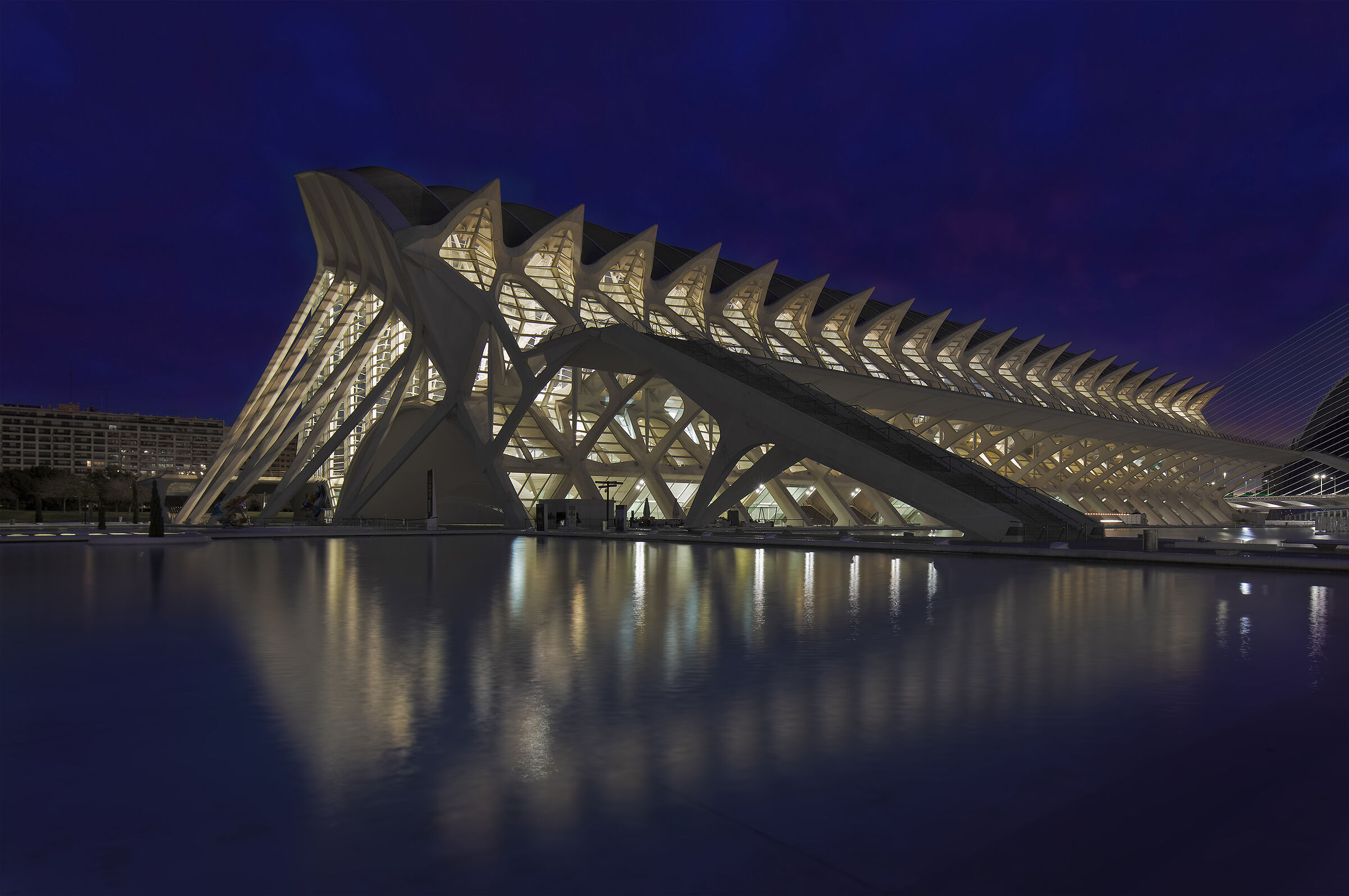 La Città delle Arti e delle Scienze