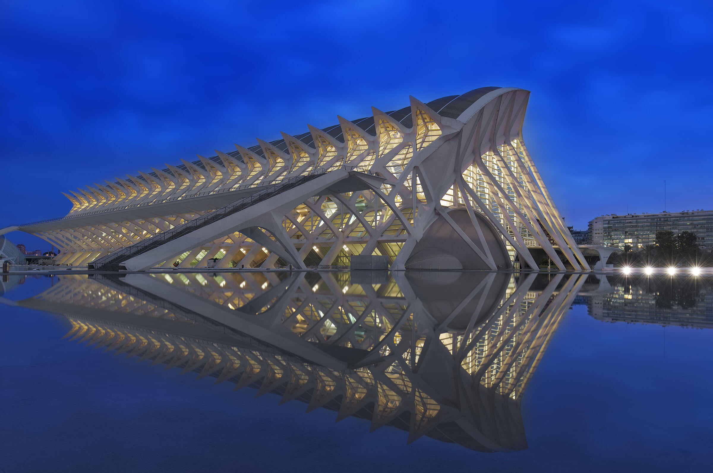 La Città delle Arti e delle Scienze