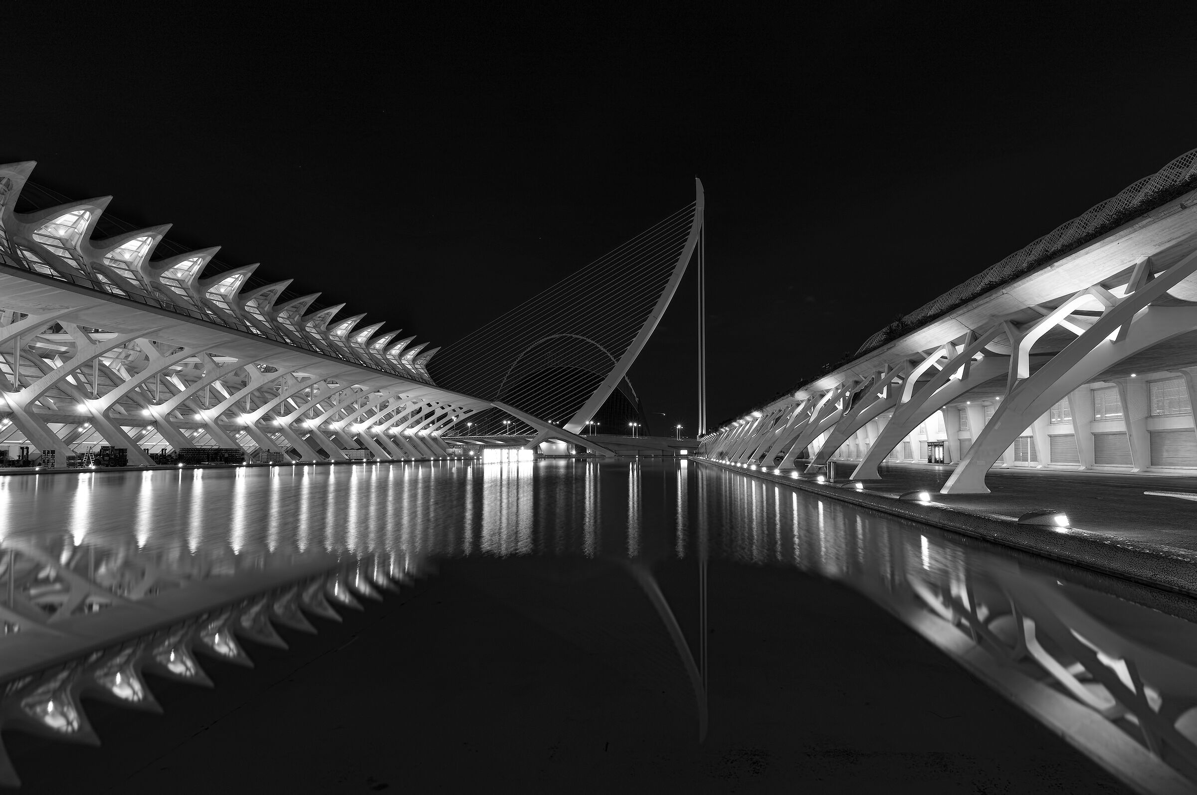 La Città delle Arti e delle Scienze