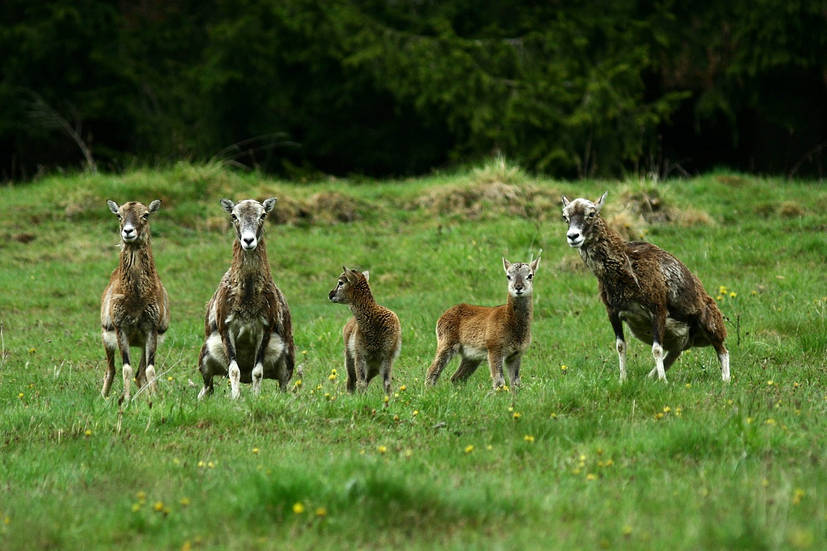 Mothers and children