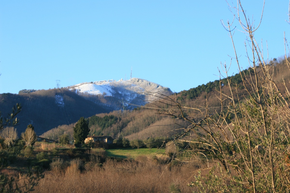 view from main road via Camigliano