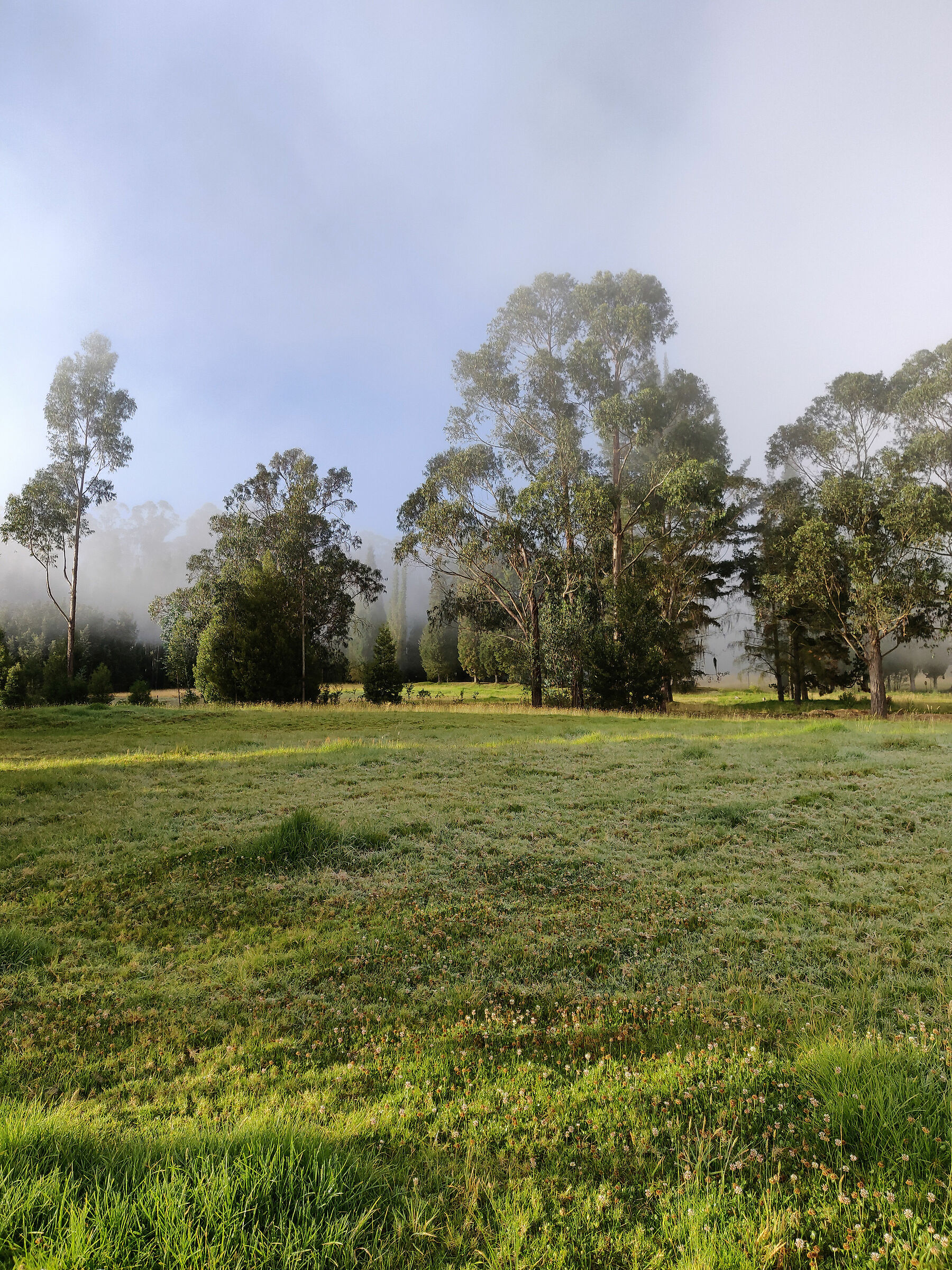 Paipa - nel parco dell'albergo