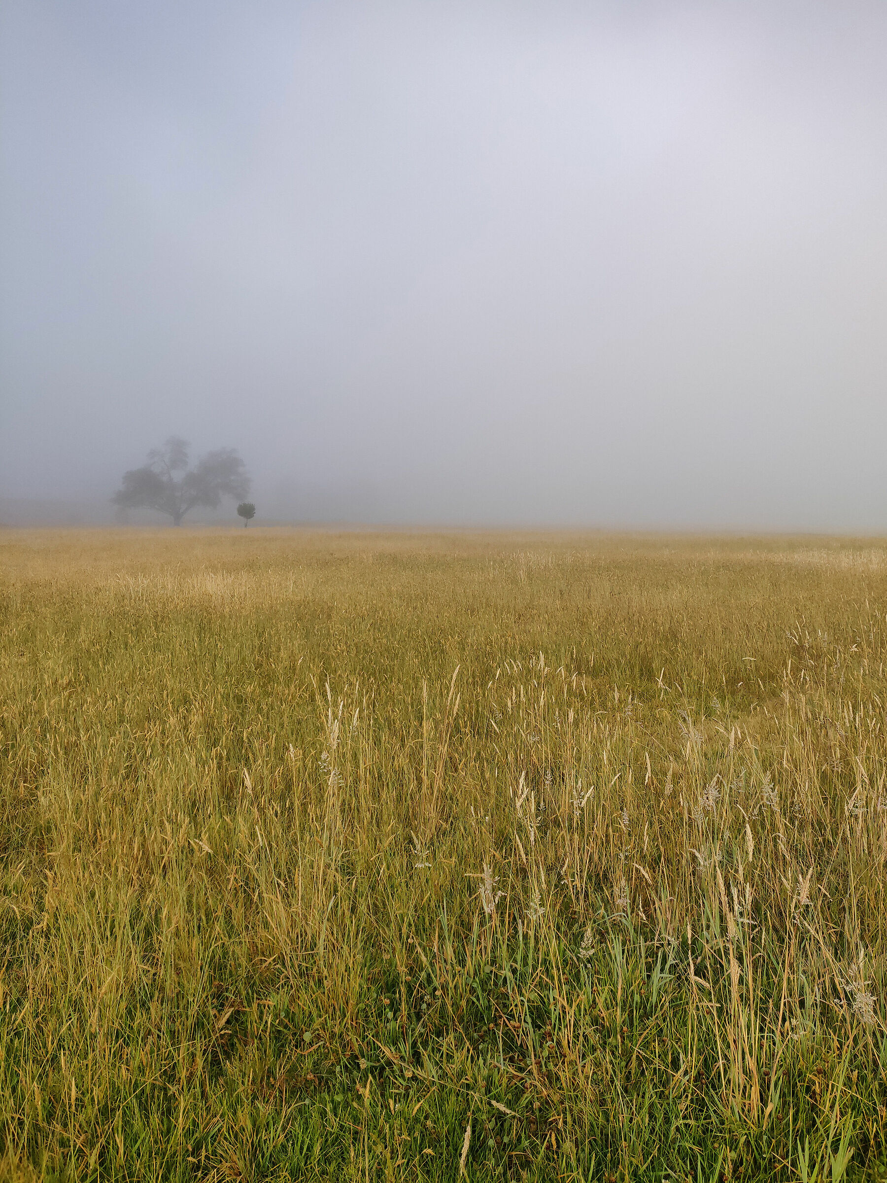 Paipa - nel parco dell'albergo