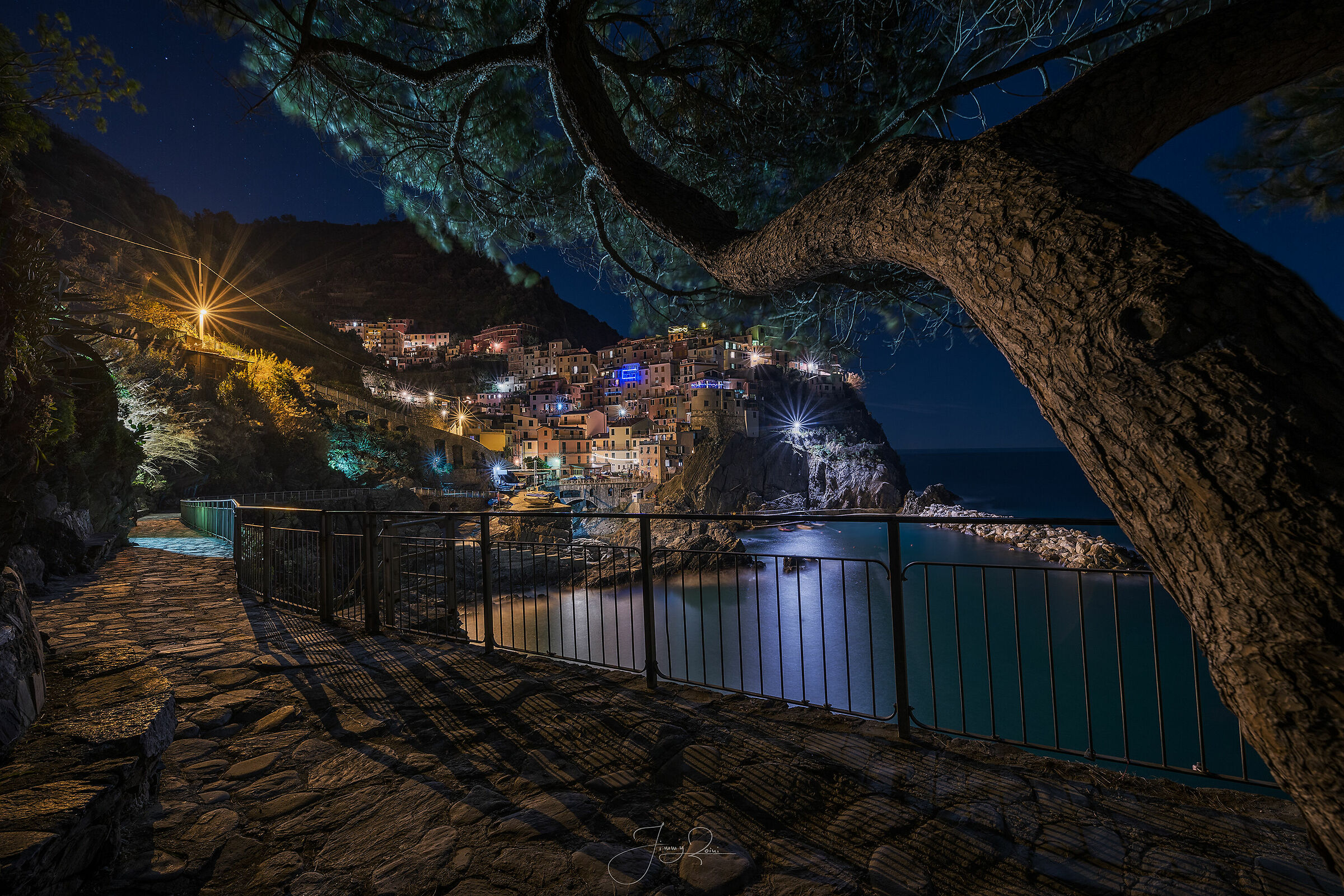 Manarola e le sue luci