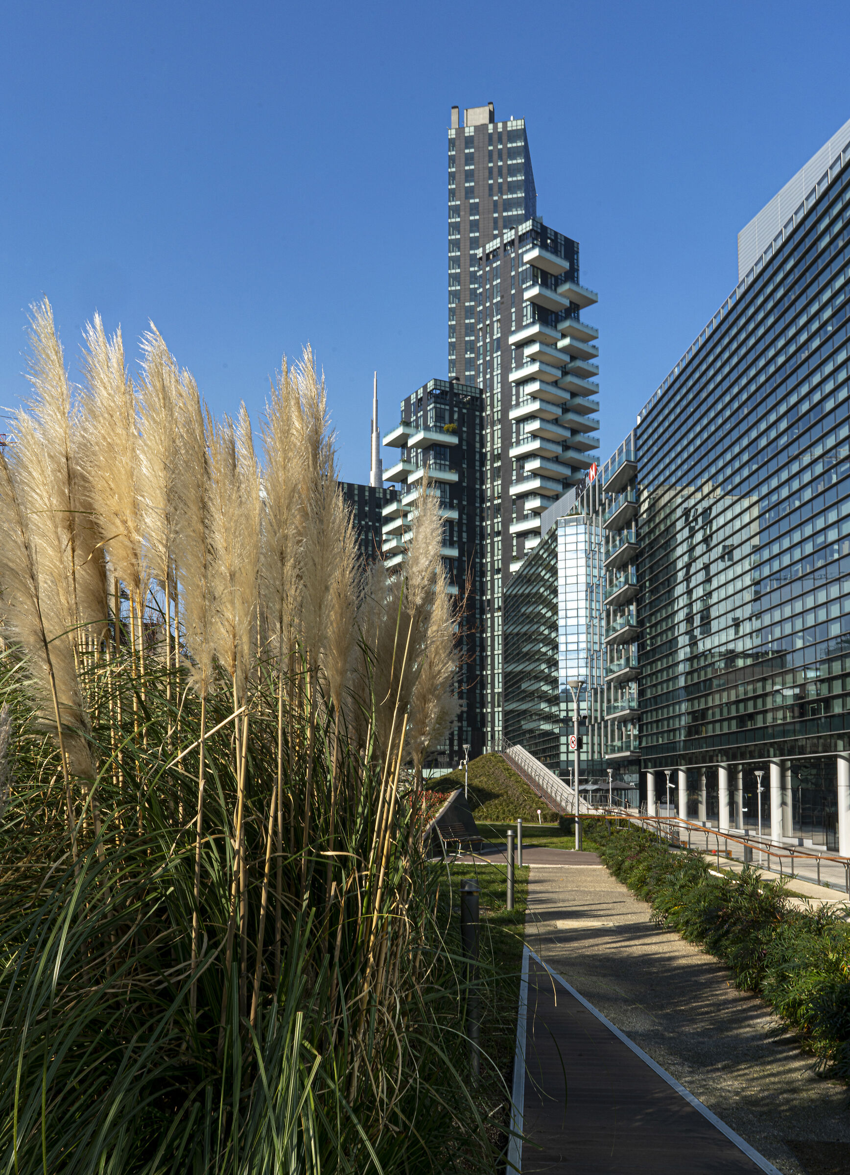 Nature and large city buildings