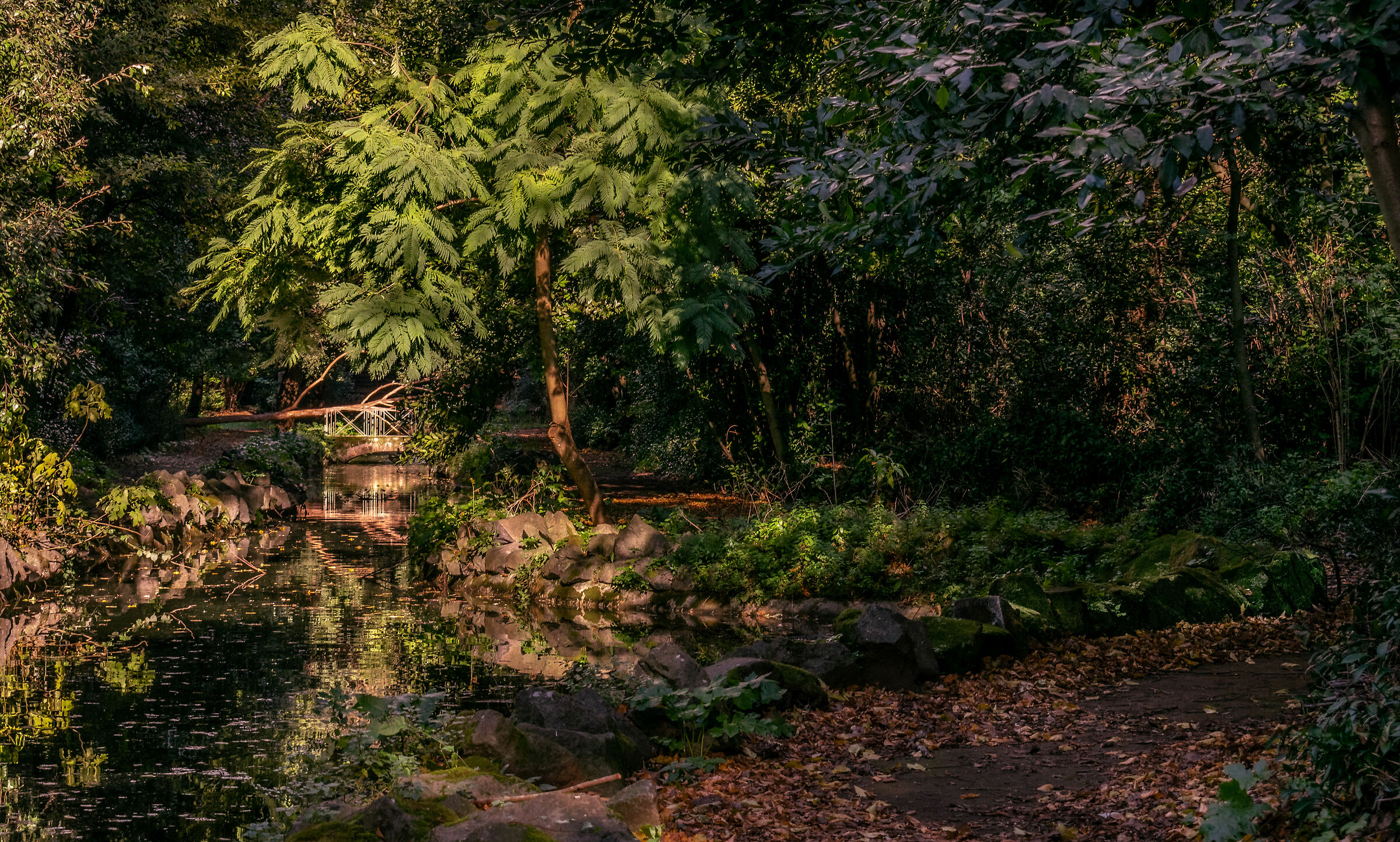 The Bridge of Wishes