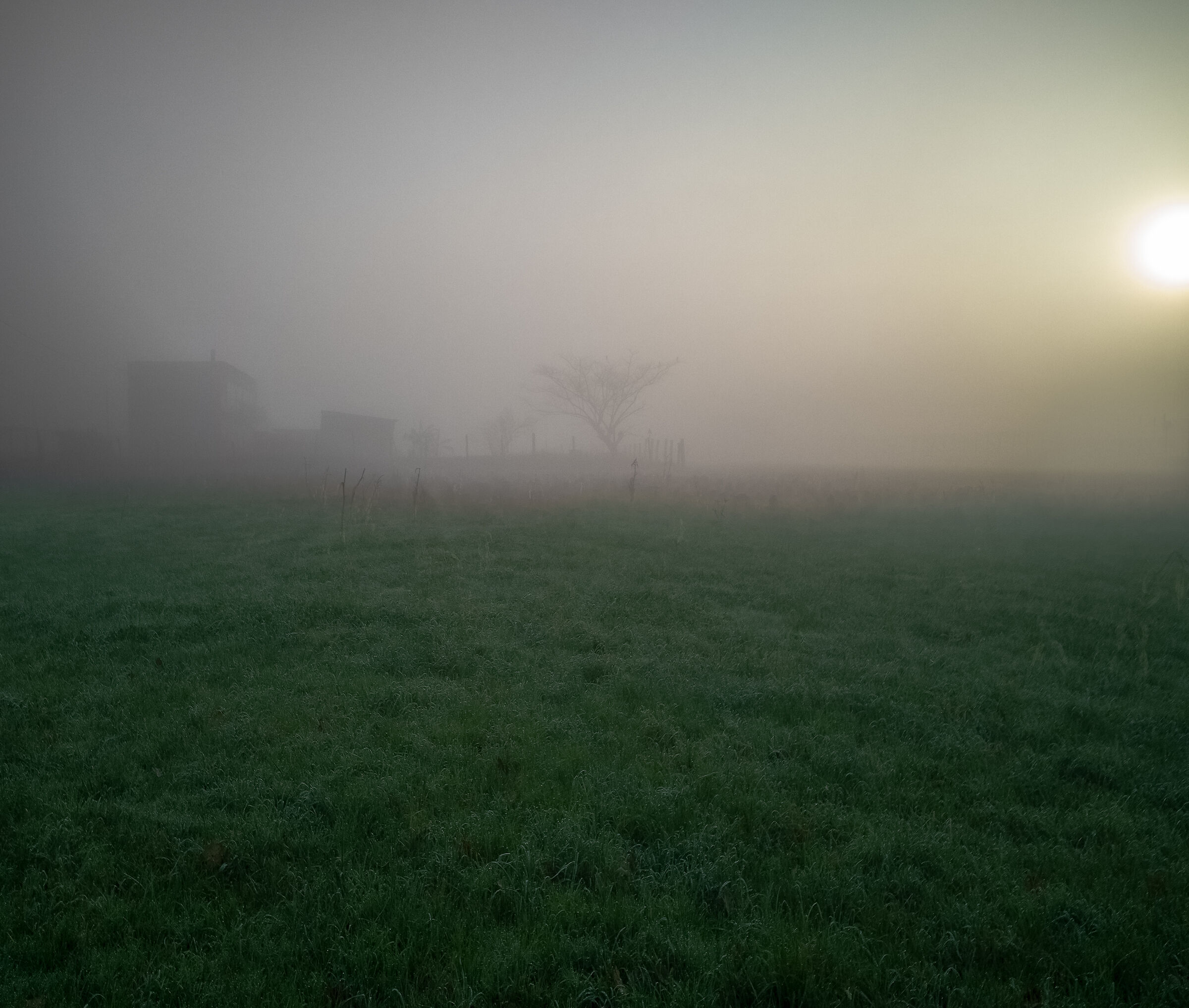 Nebbia in val.. Vesuviana :)