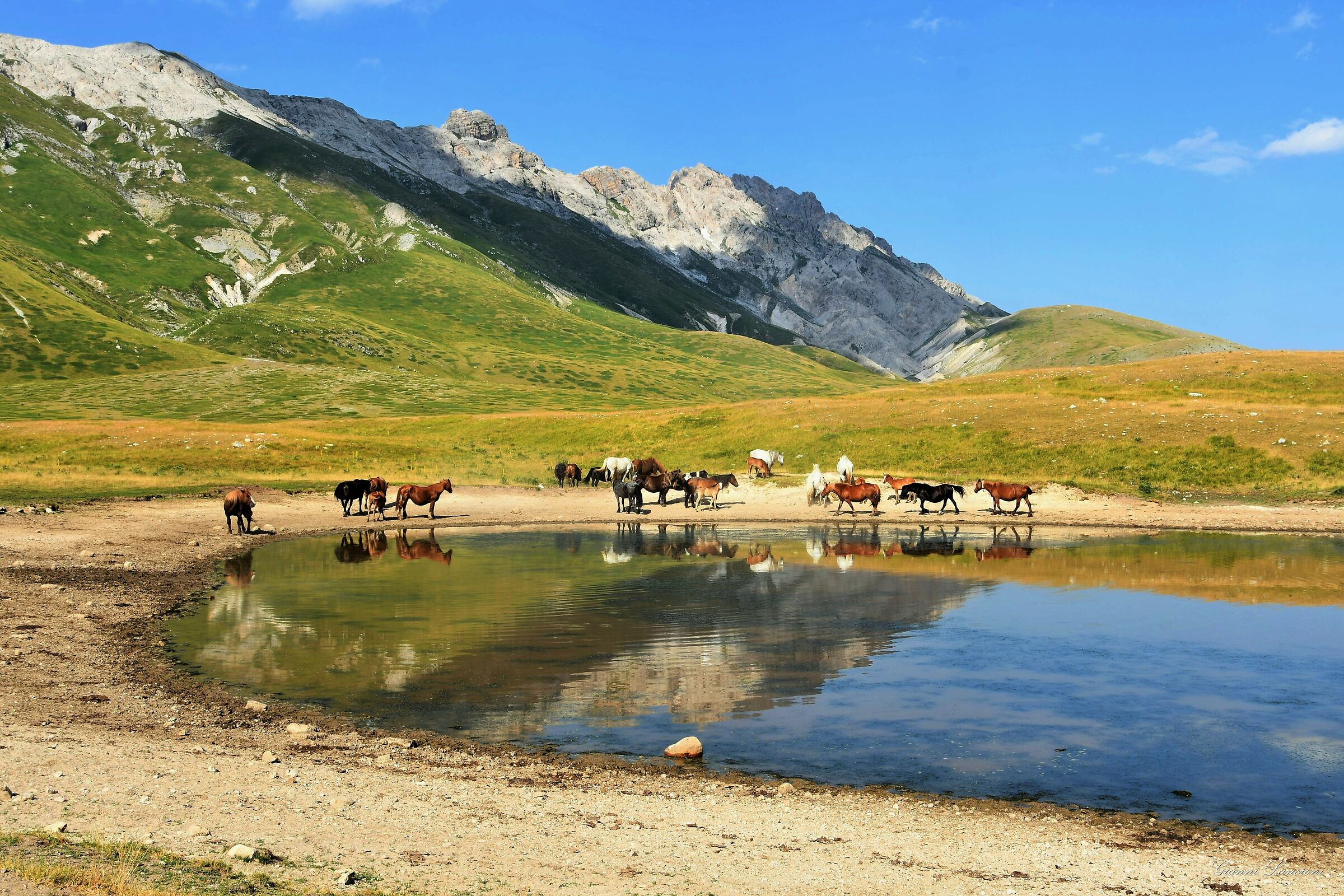 Il Lago dei Cavalli