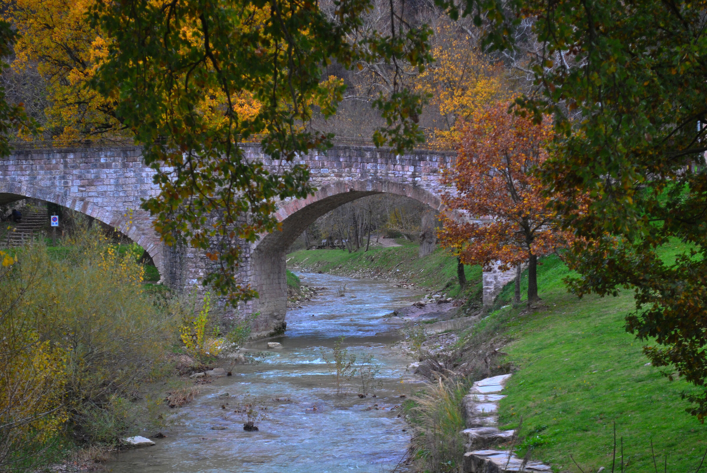 St Franciscan's forest