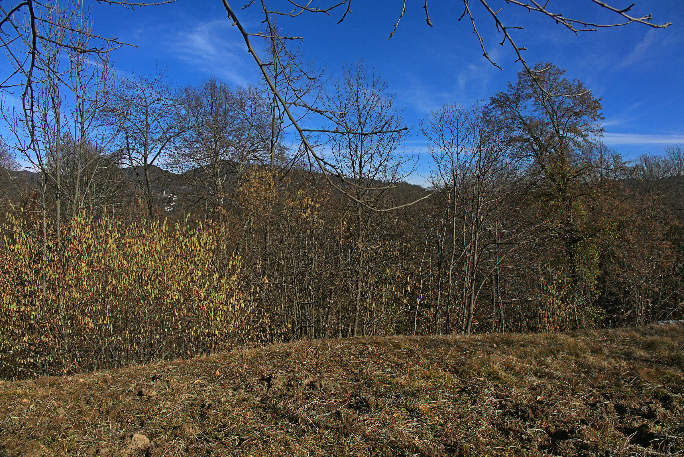 La Campagna d'Inverno