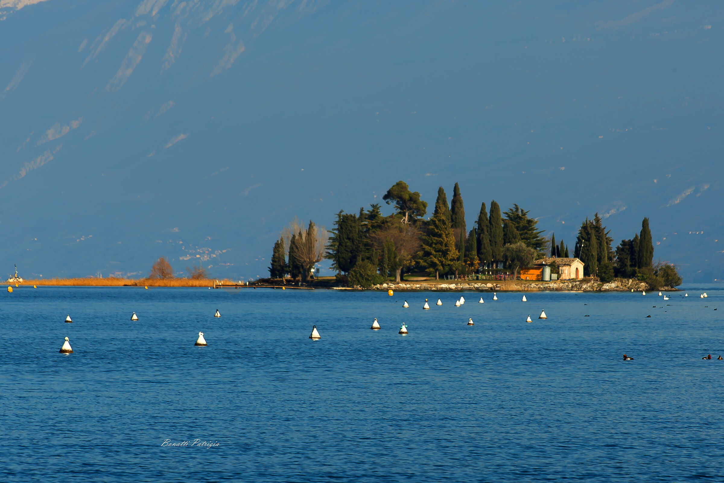 myways come back to you