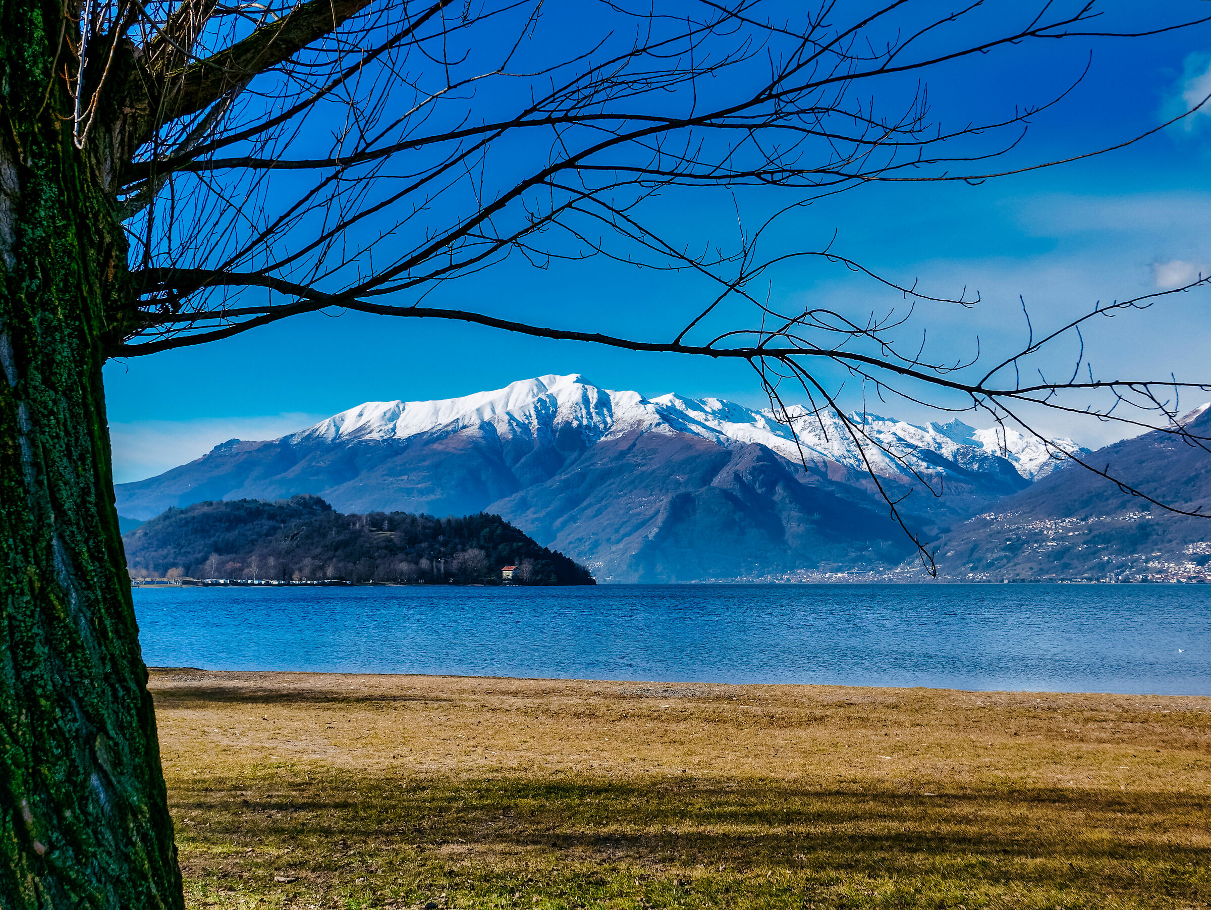 Colic Path of the Walker Gen.2020