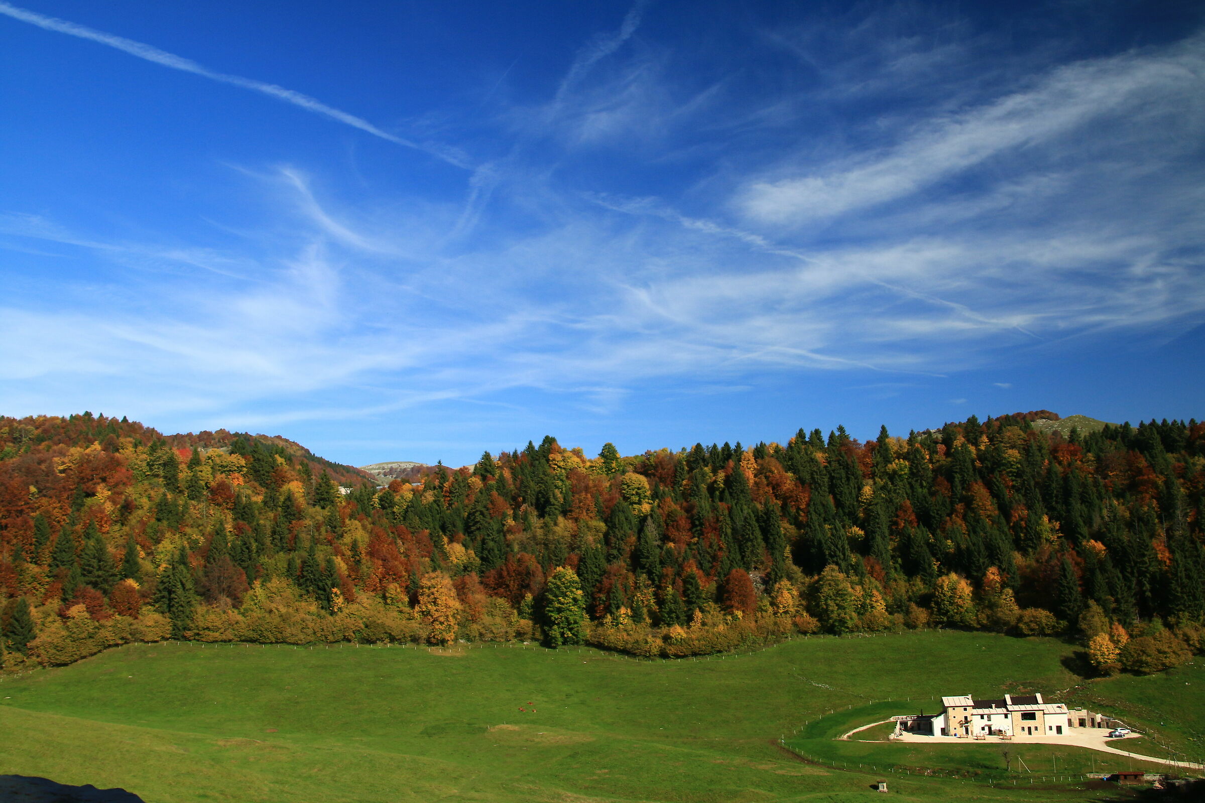 the colors of autumn