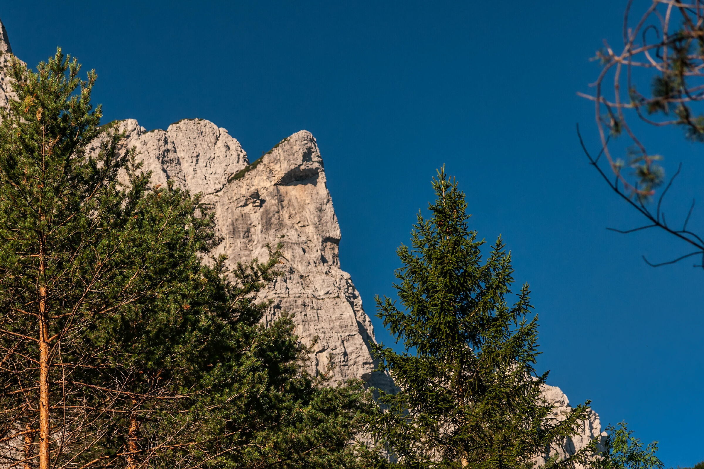 The Sphinx group Sernio Grauzaria