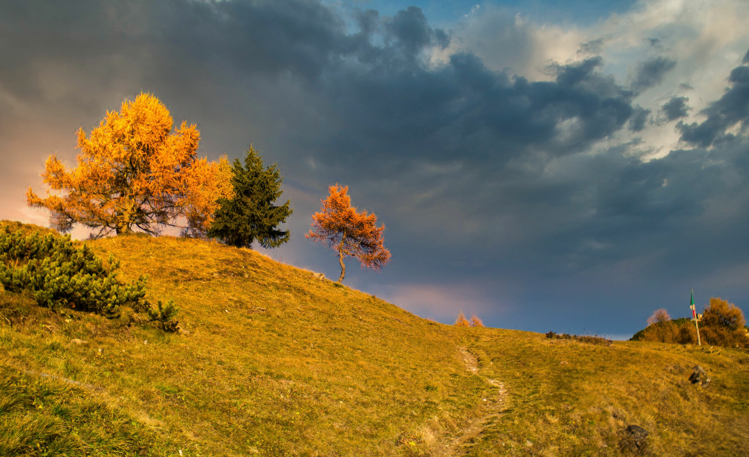 Autunno al Col di Lana