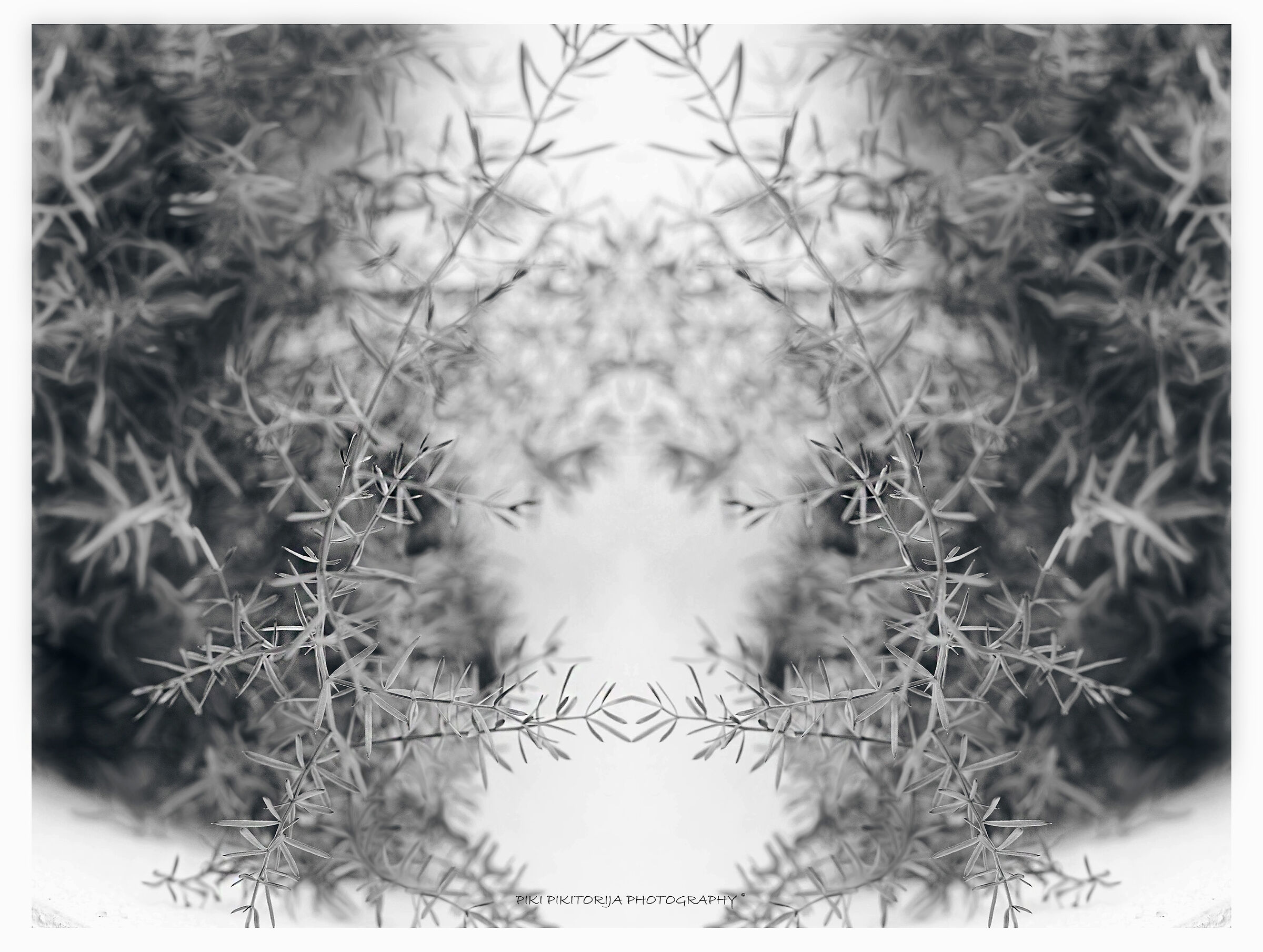 La transazione giusta