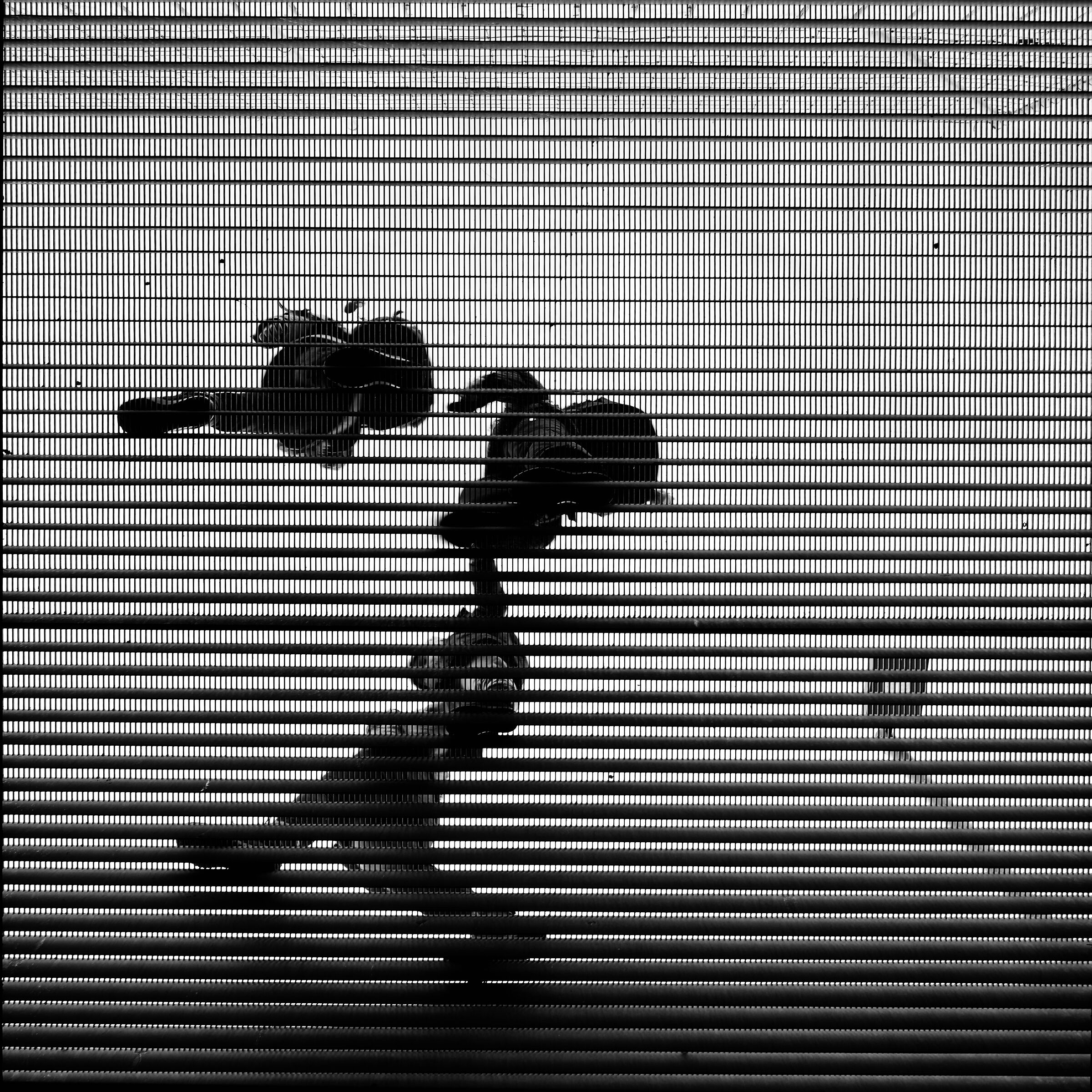 Steps