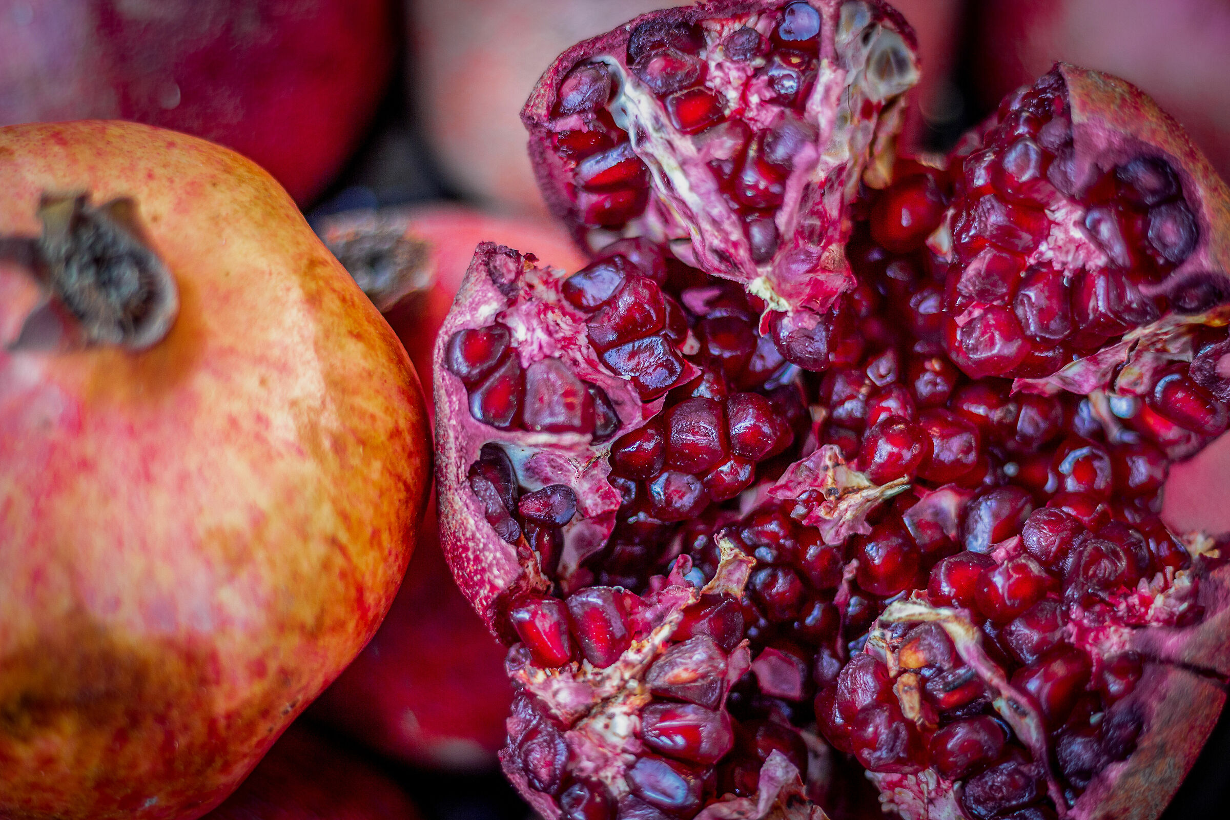 "Punica granatum" - per gli amici, melograno