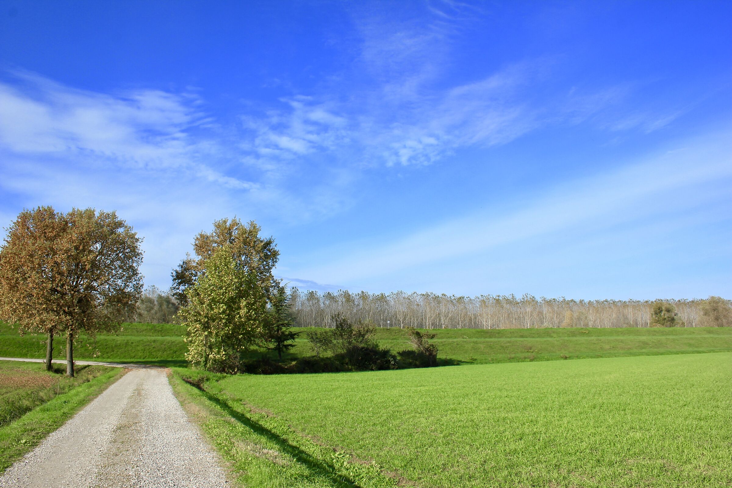 Tranquillità in campagna