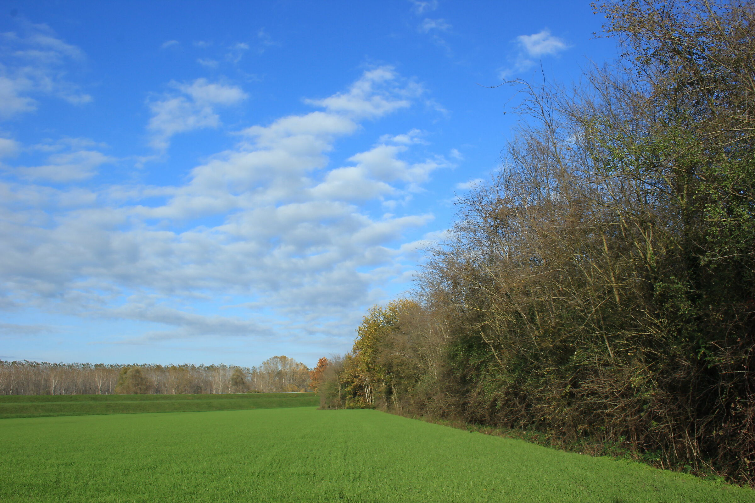 geometrie in campagna
