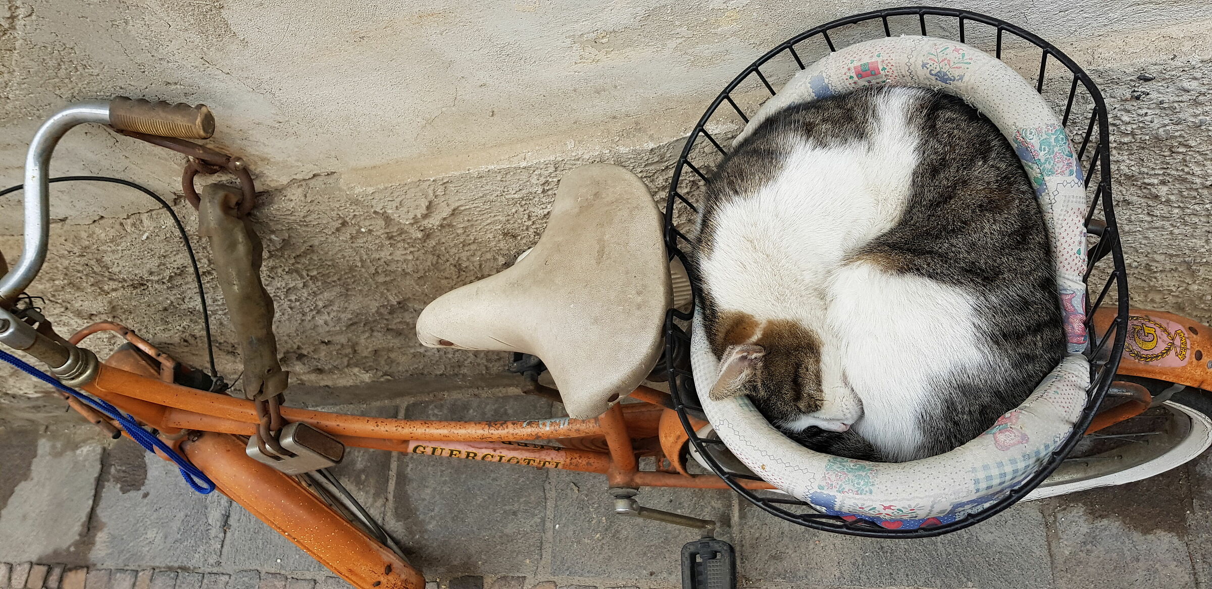 Il sonnellino di Mario