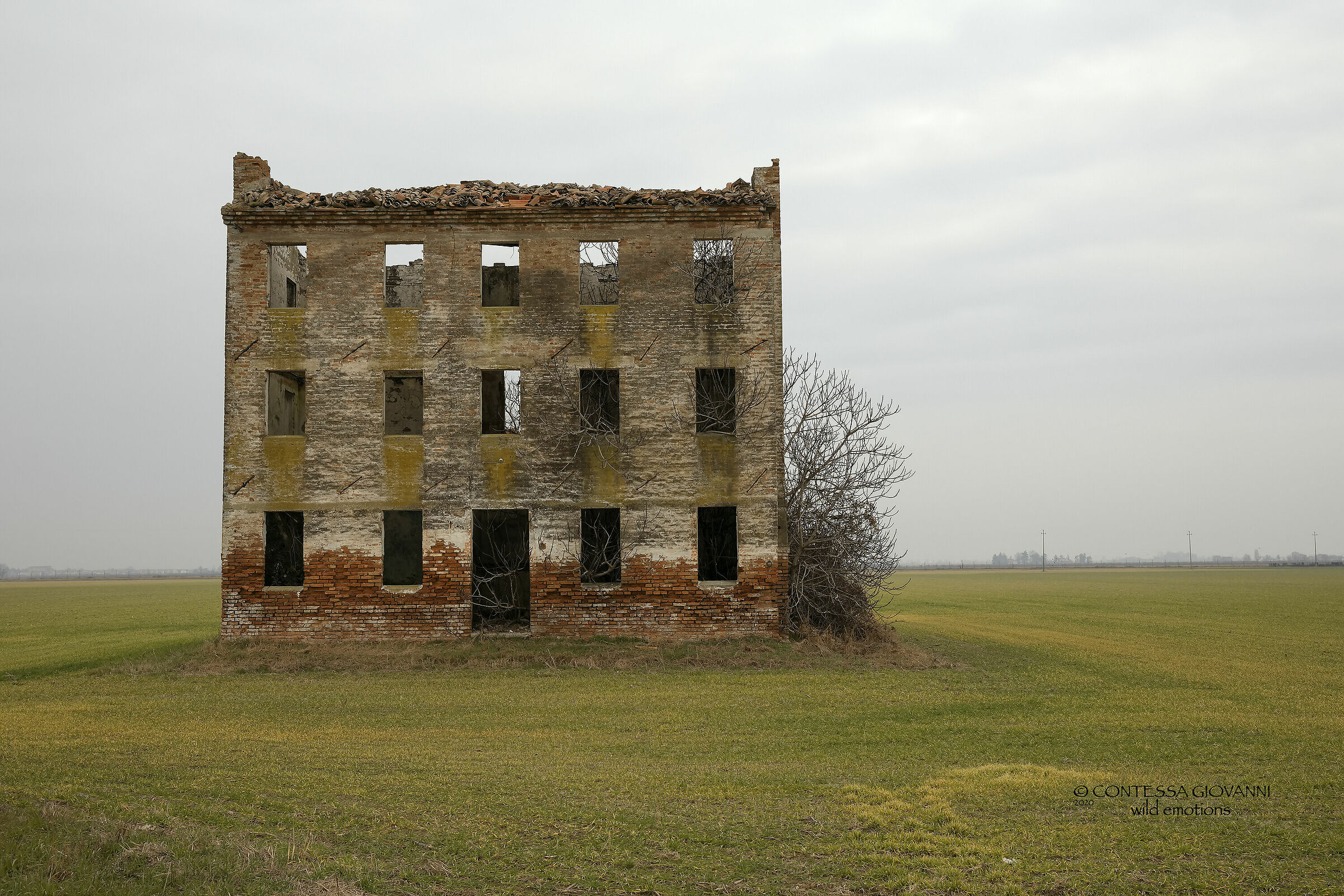 chromatic contrasts of a cloudy day