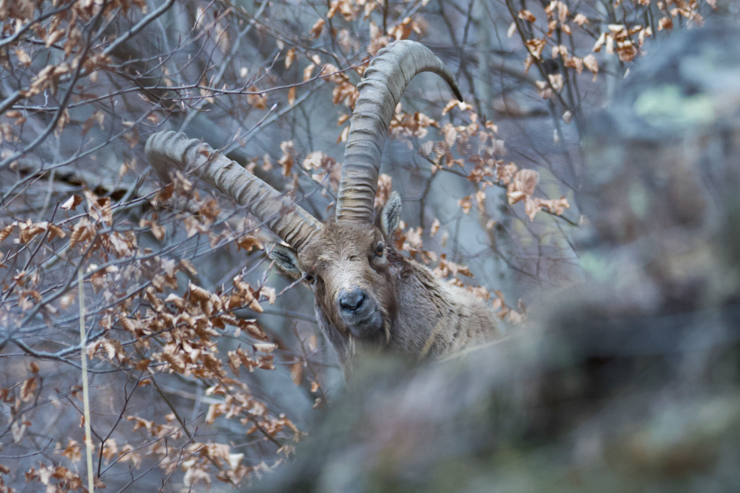 Curious photographer...