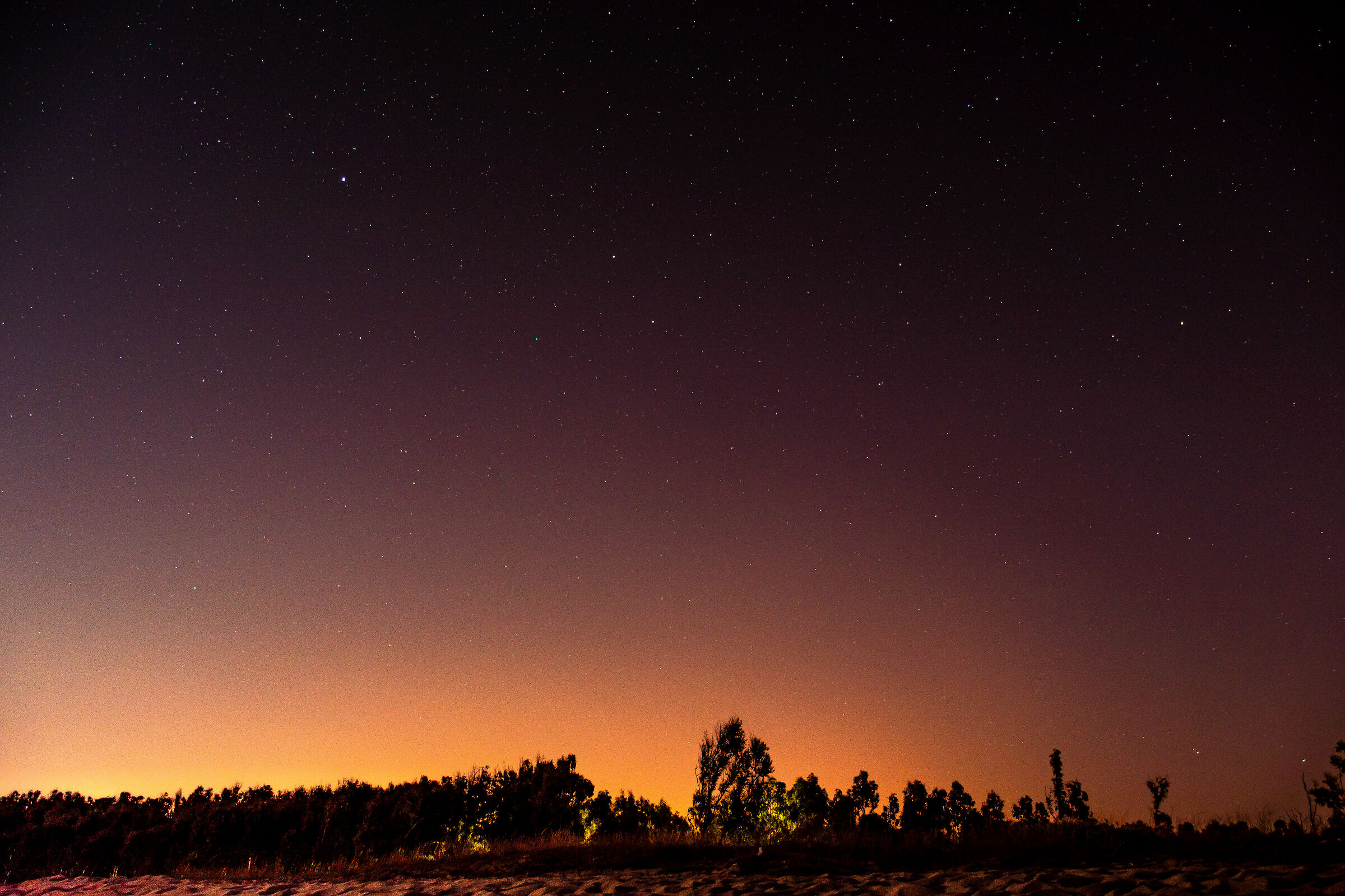 Stars from the Beach - 1