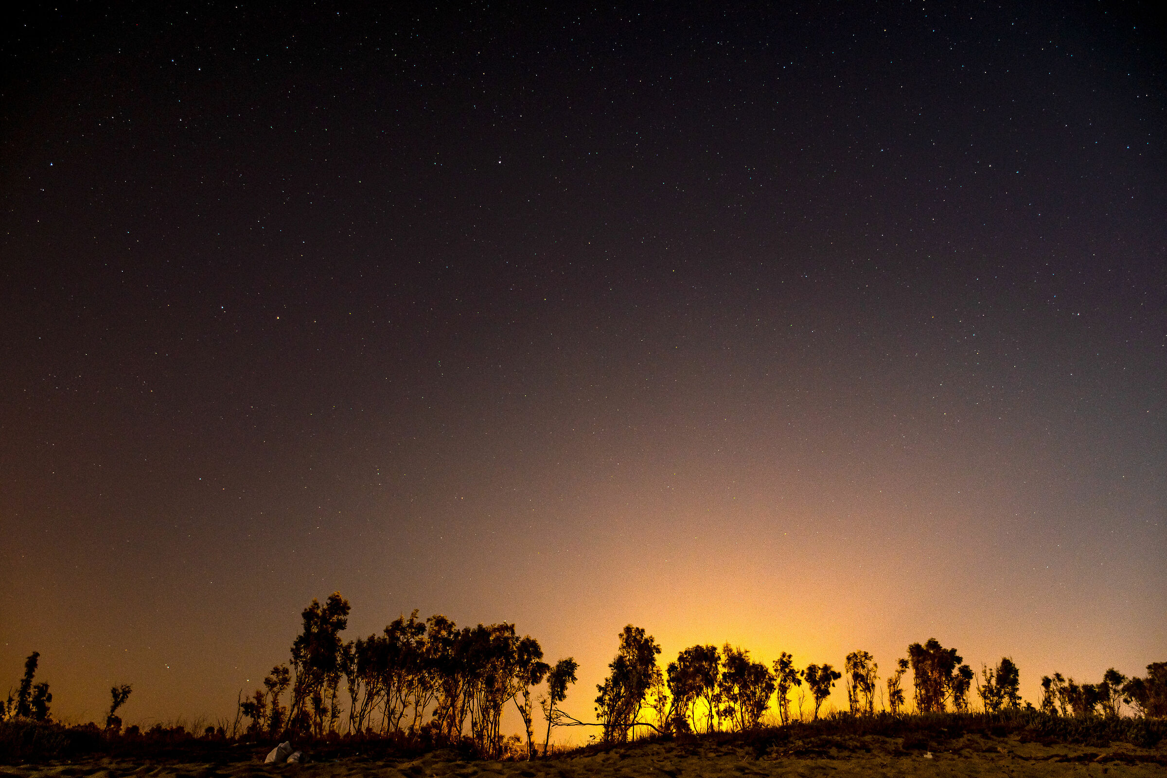 Stars from the Beach - 2