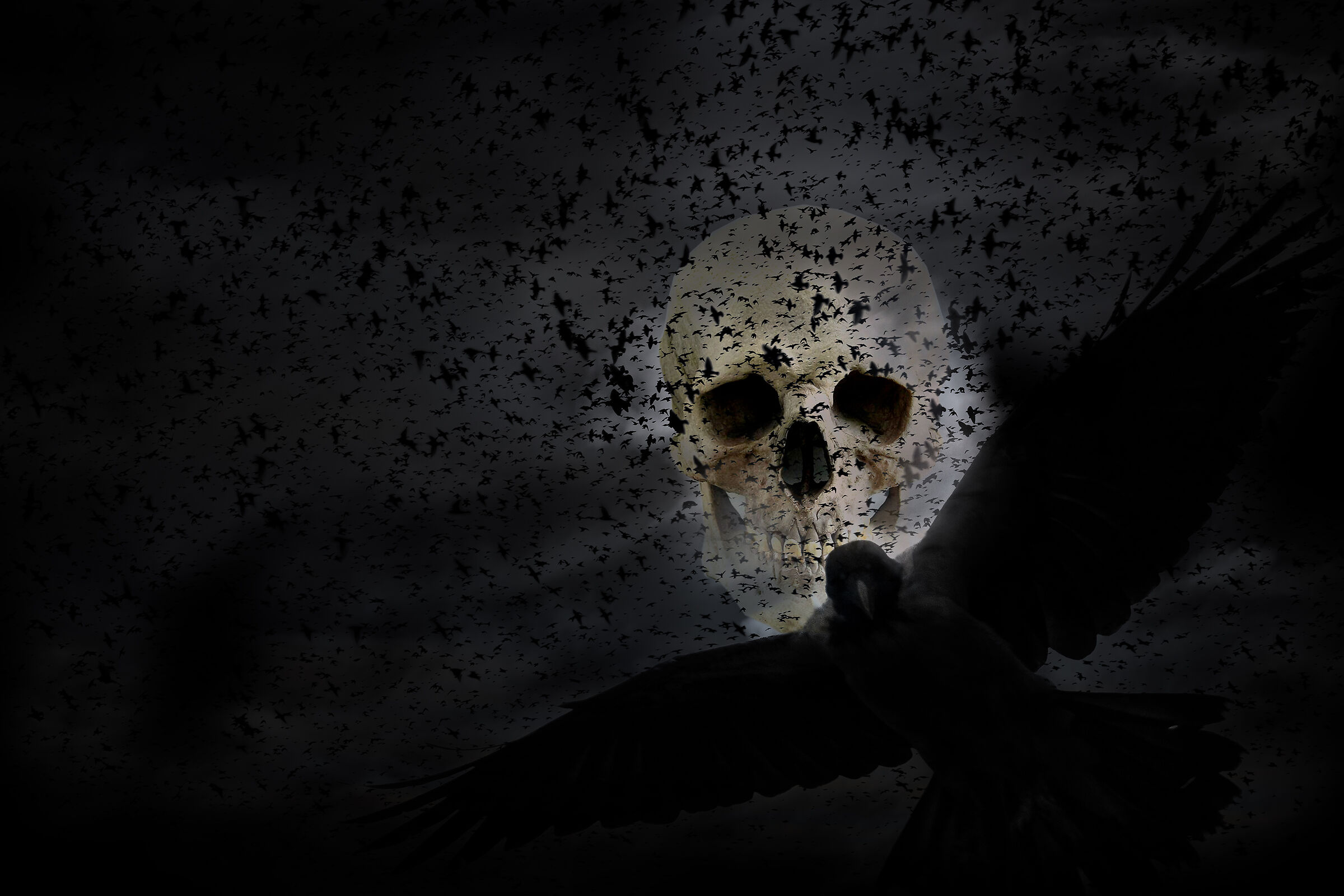 Coronavirus - The Twilight of Man