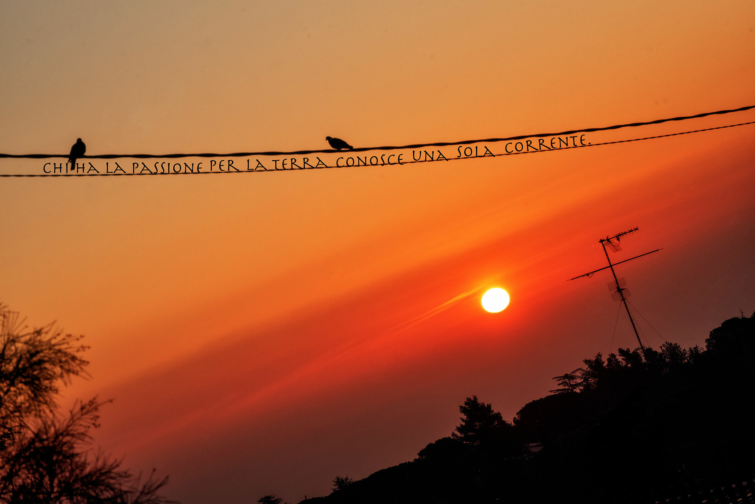 Common current, between the sun's rays.