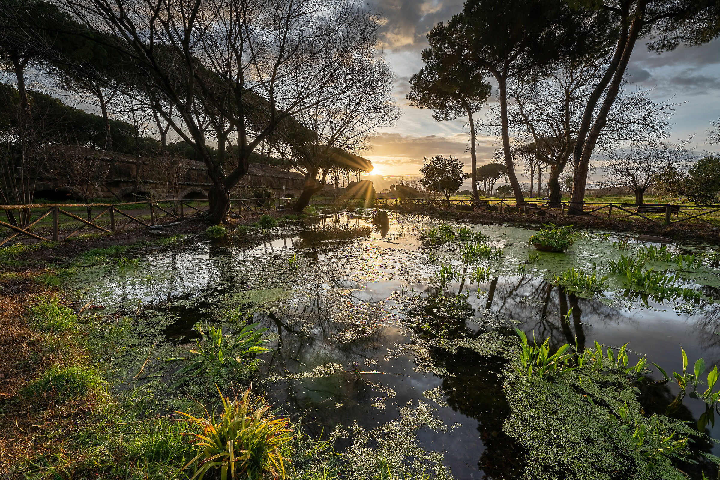 Già è arrivata la Primavera?