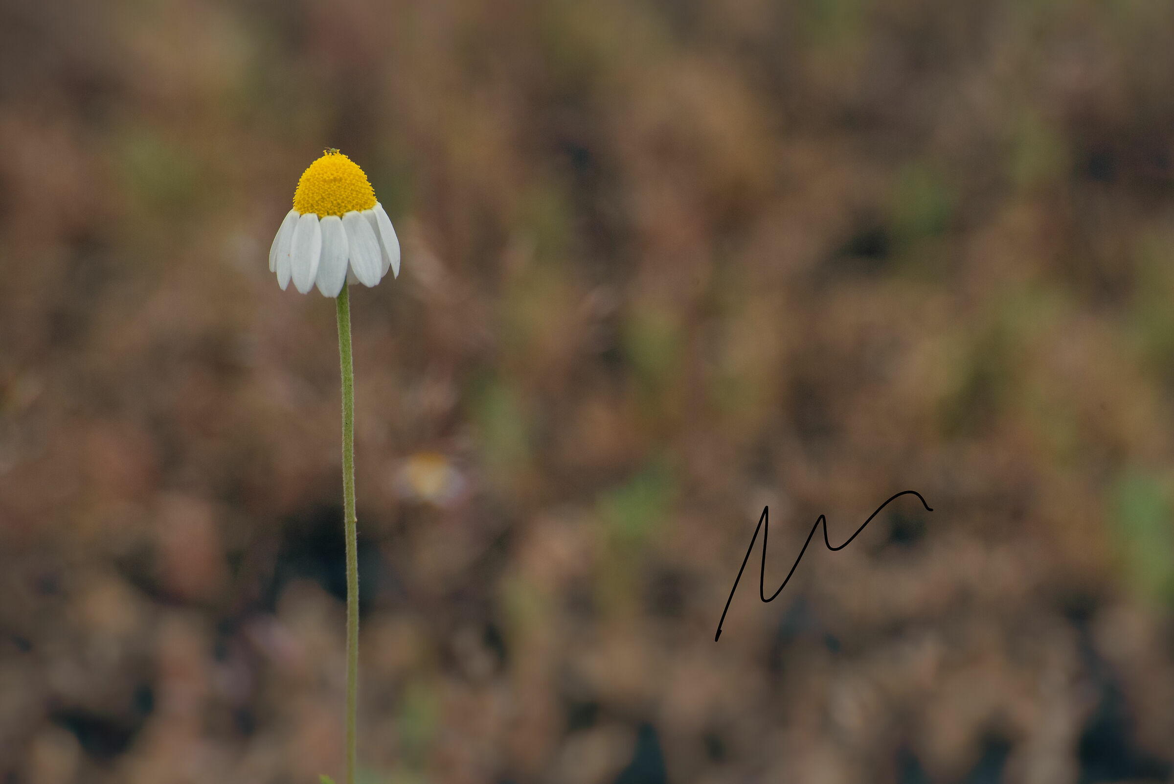 I'm going to be small, but i'm stung up.