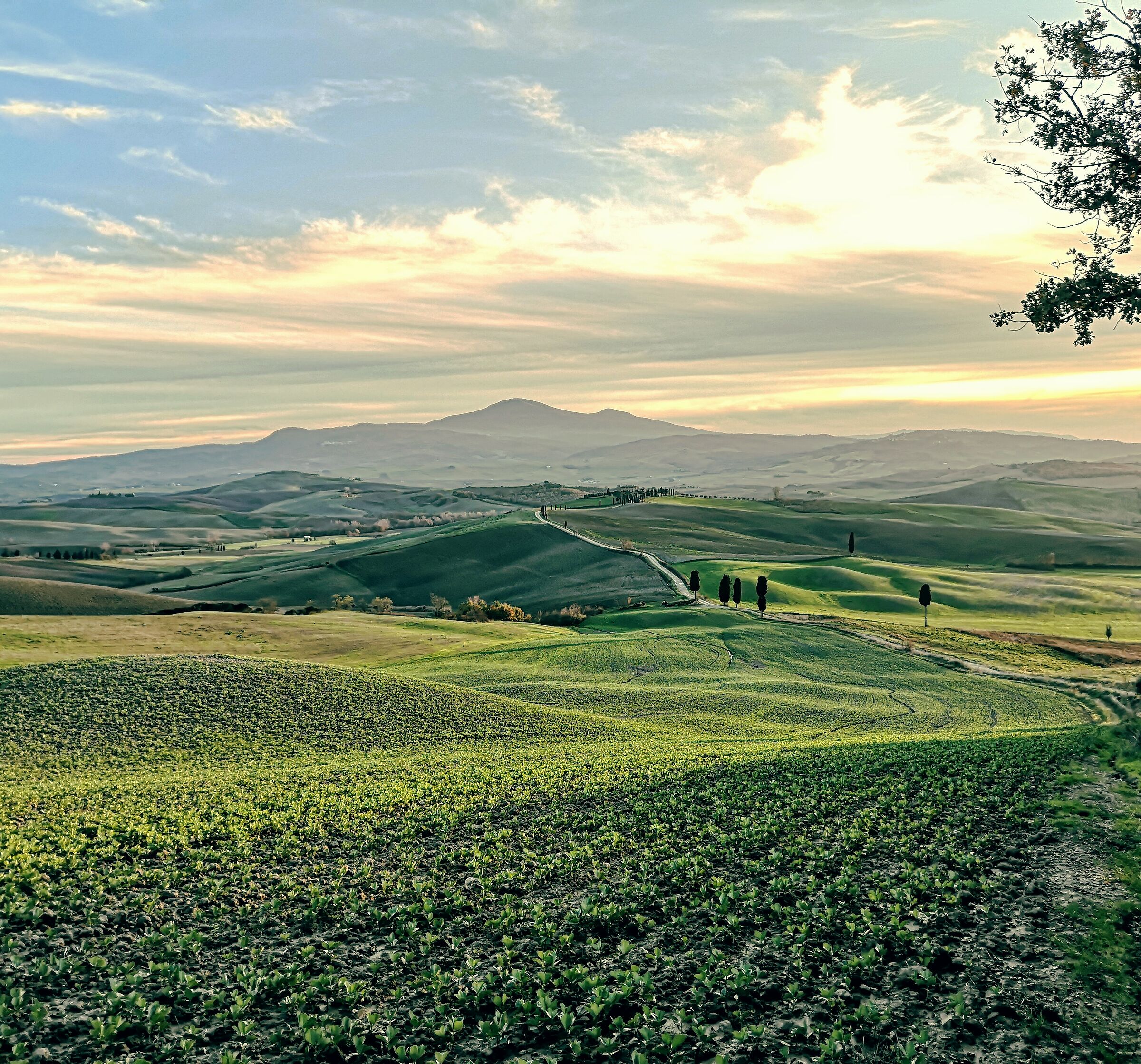 Val d'orcia