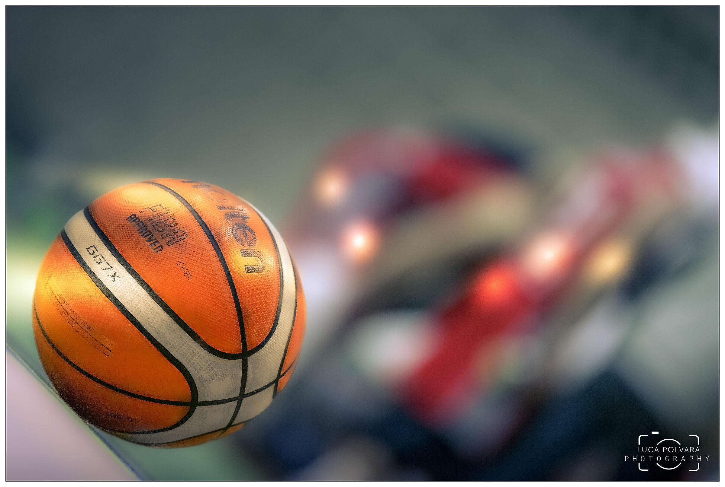 My Christmas lights.