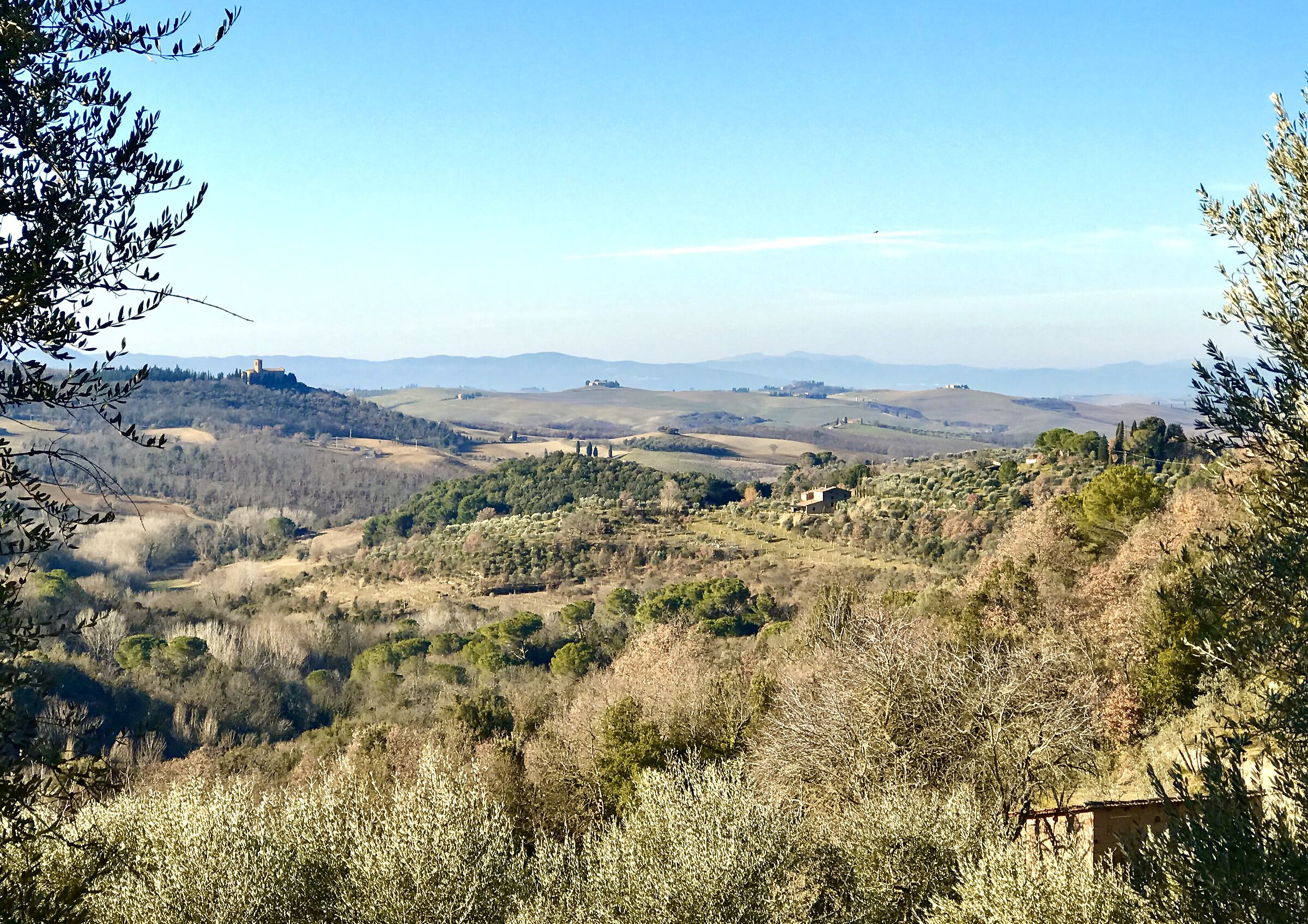 sweet Sienese hills