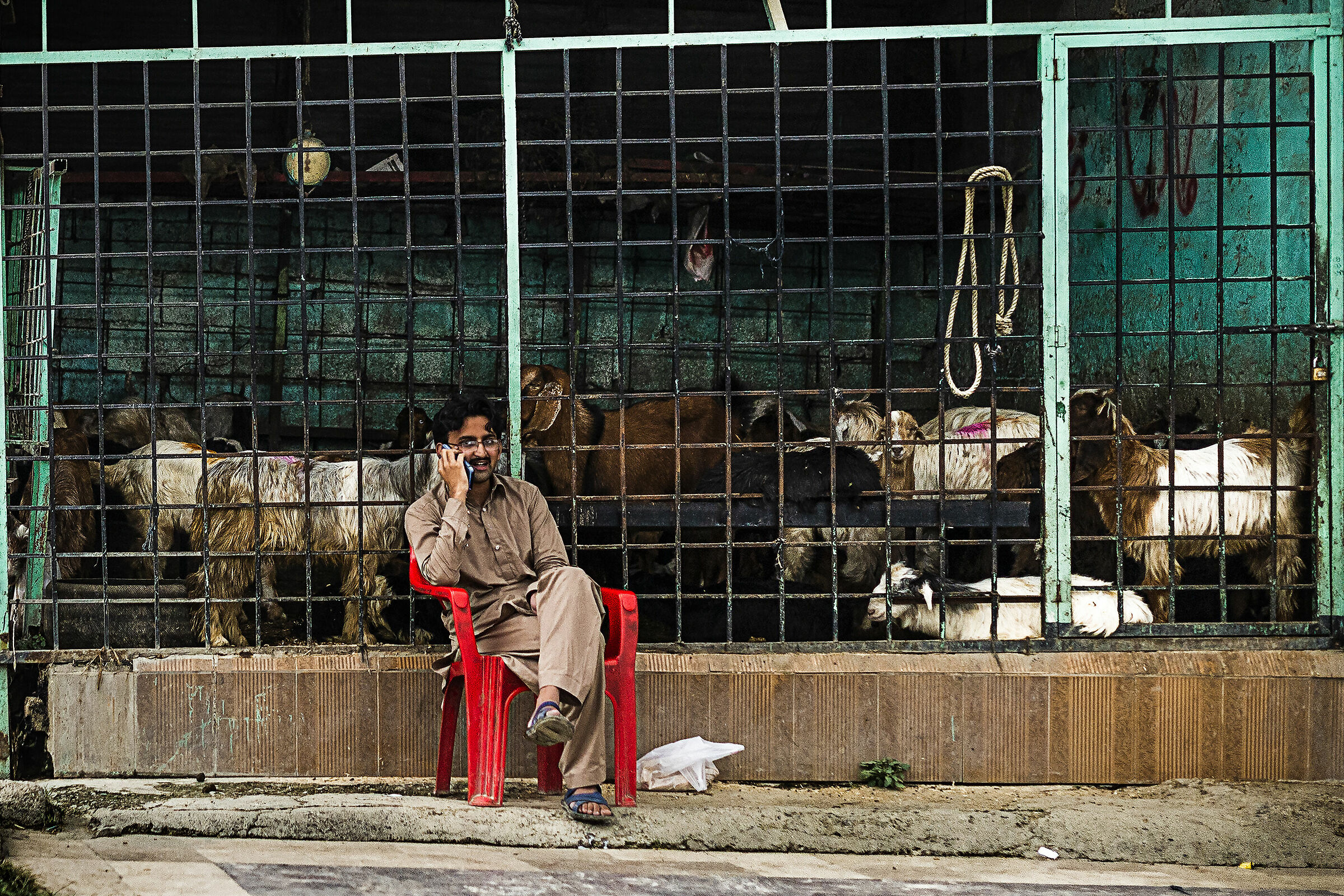 Il guardiano delle capre