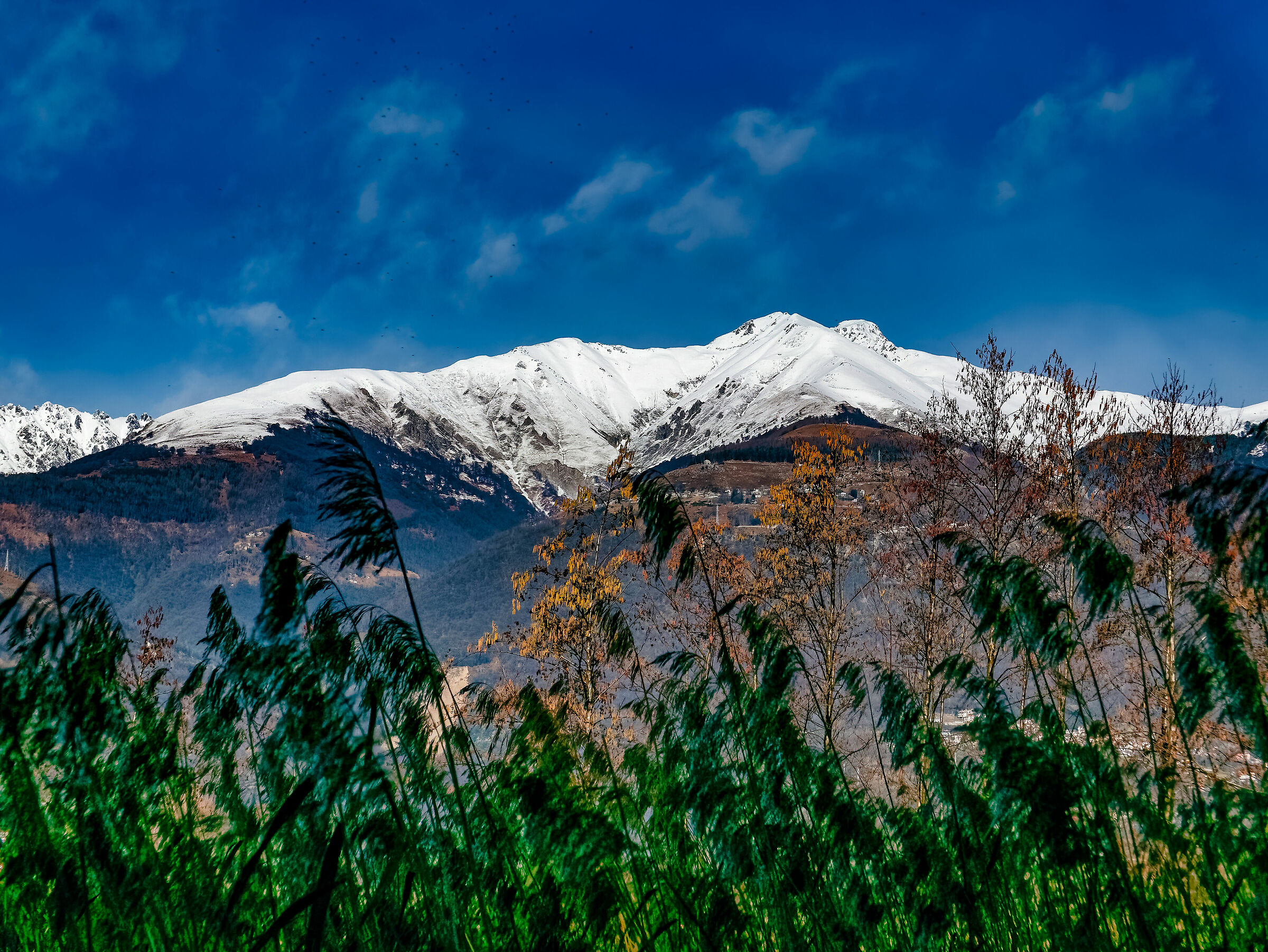 Valtellina Trail Gen.2020