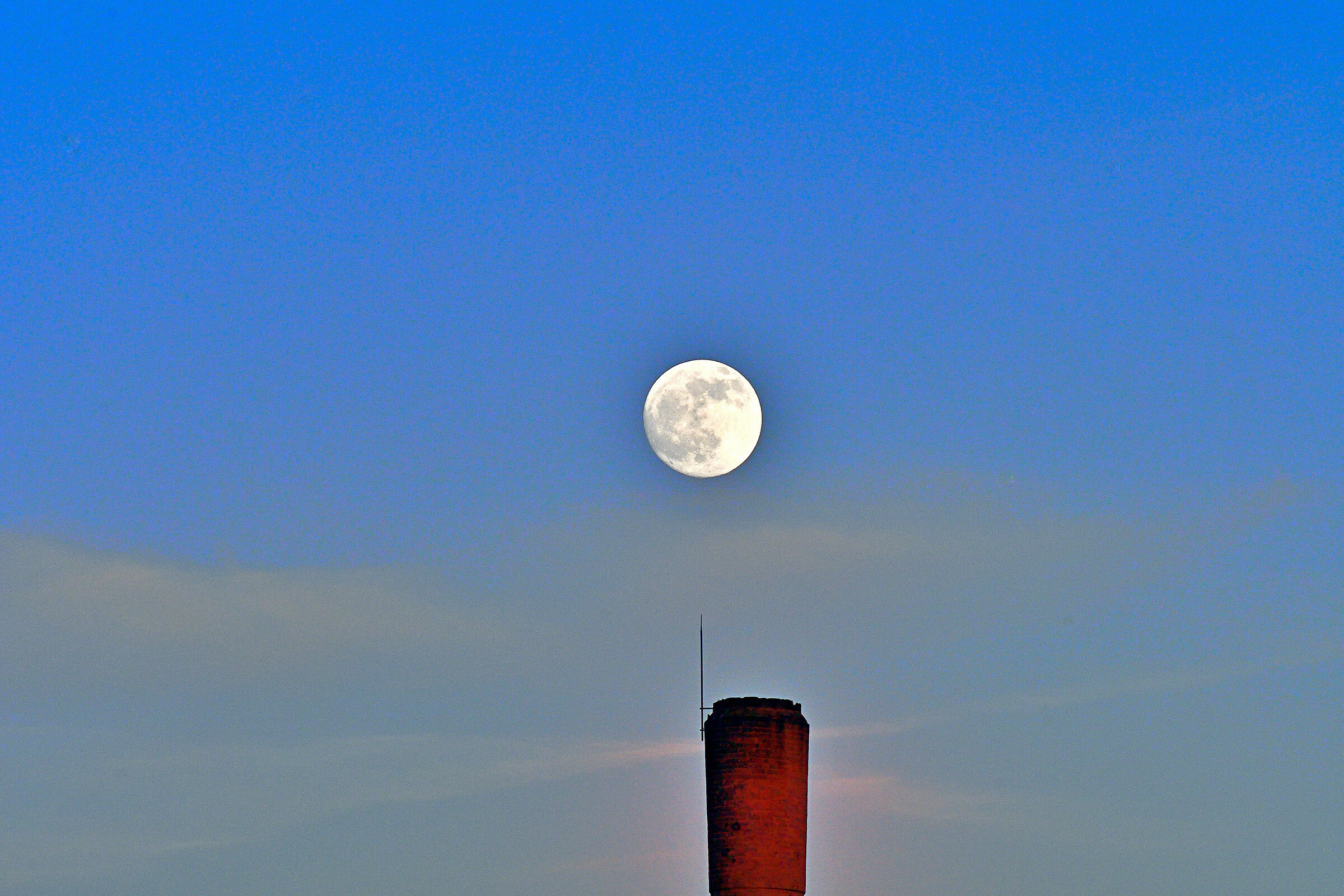 Attenta allo spillo!