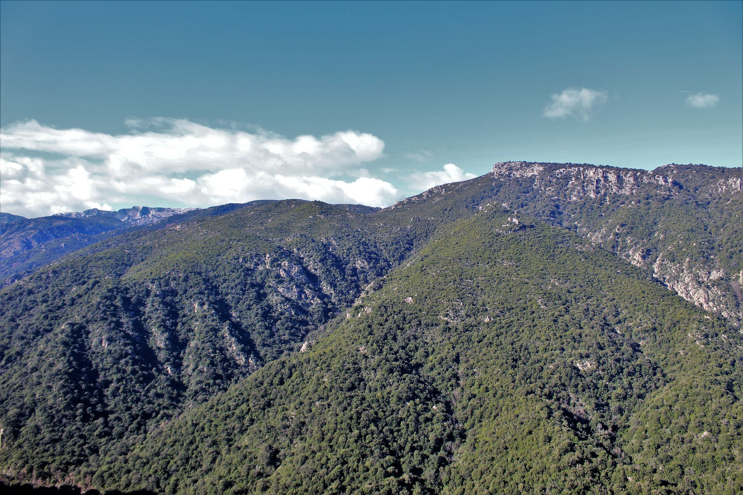 Panorama On Piggiu Longu