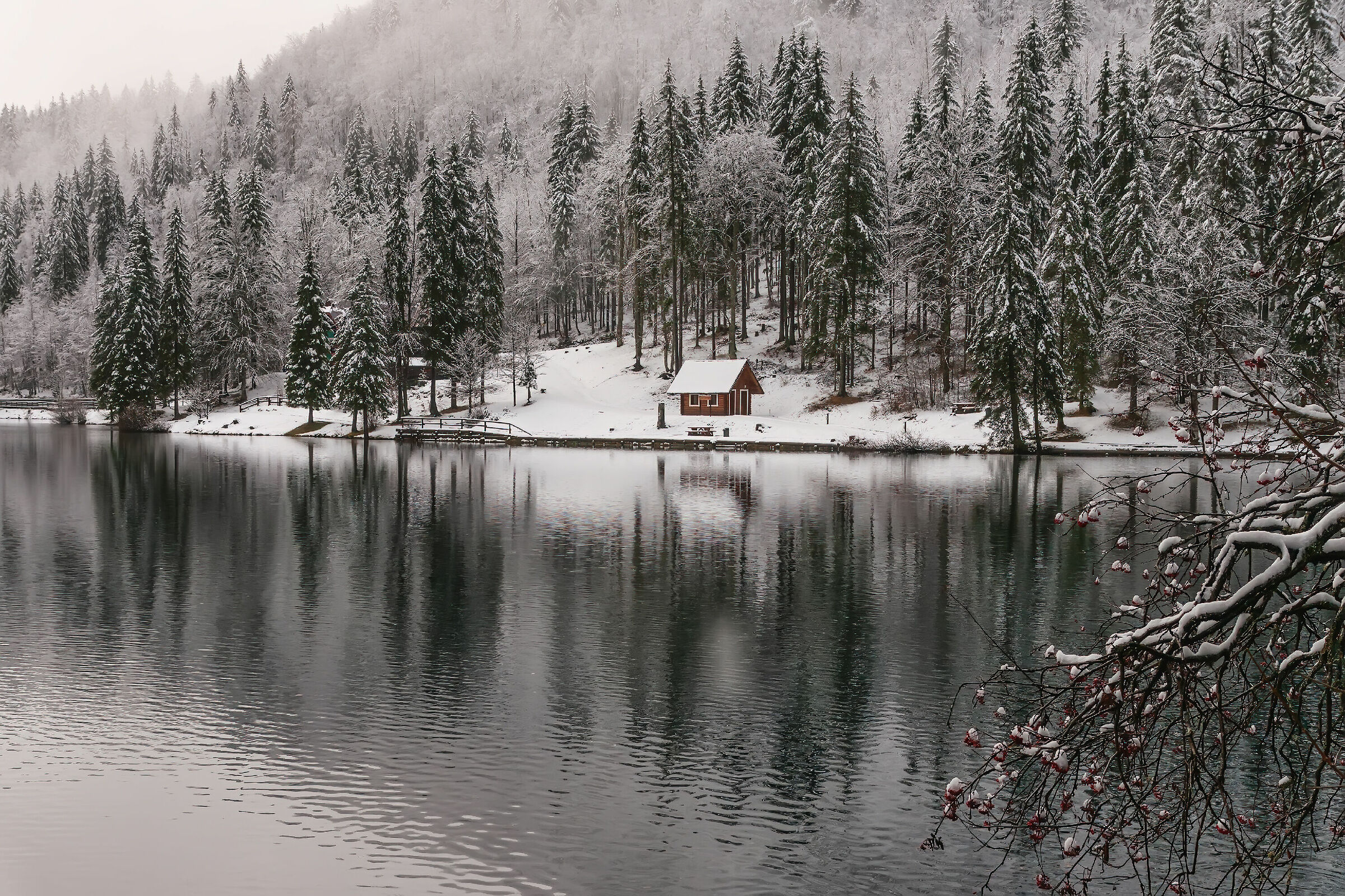 Casetta sul lago ( fusine )