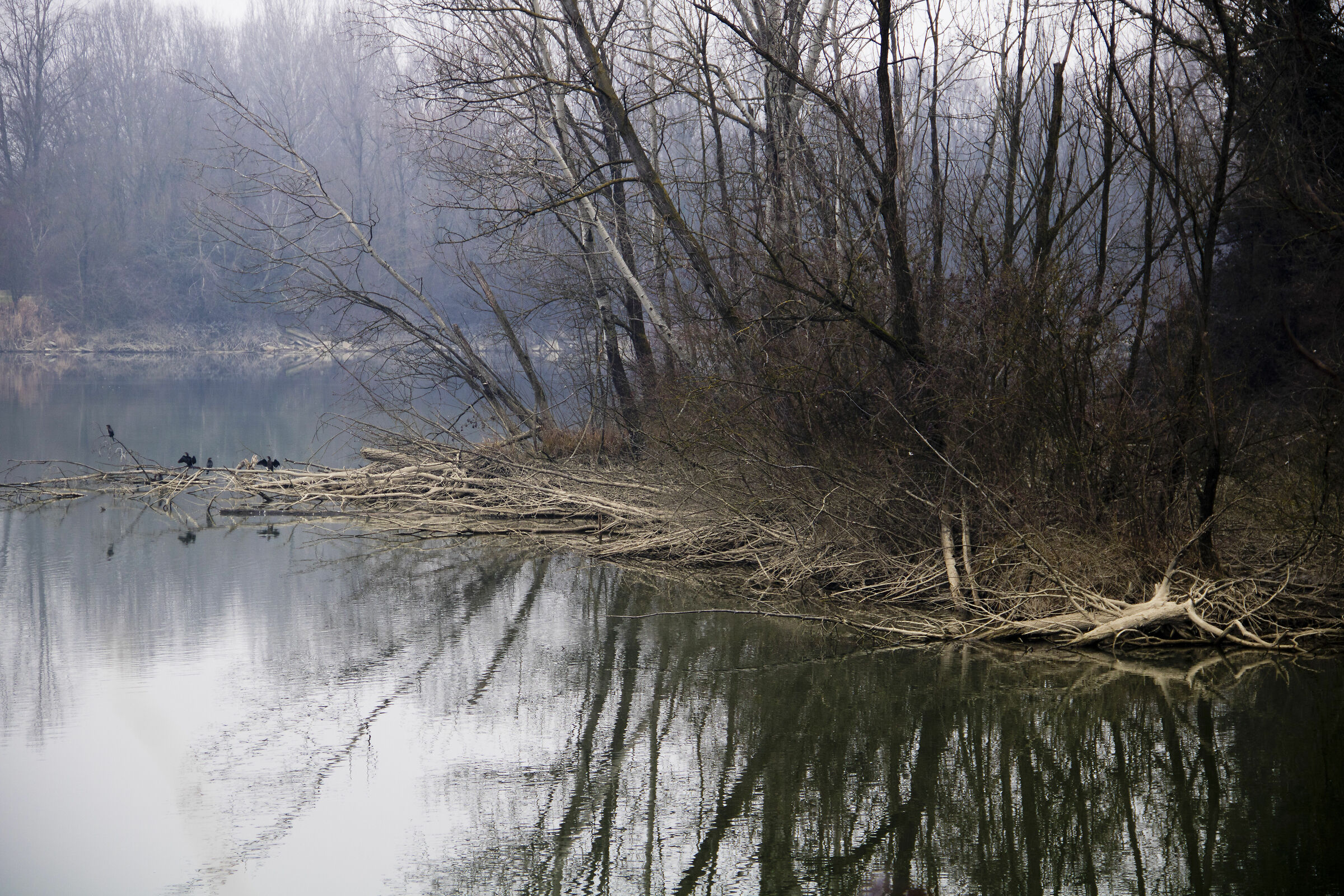 Asciugarsi al timido sole